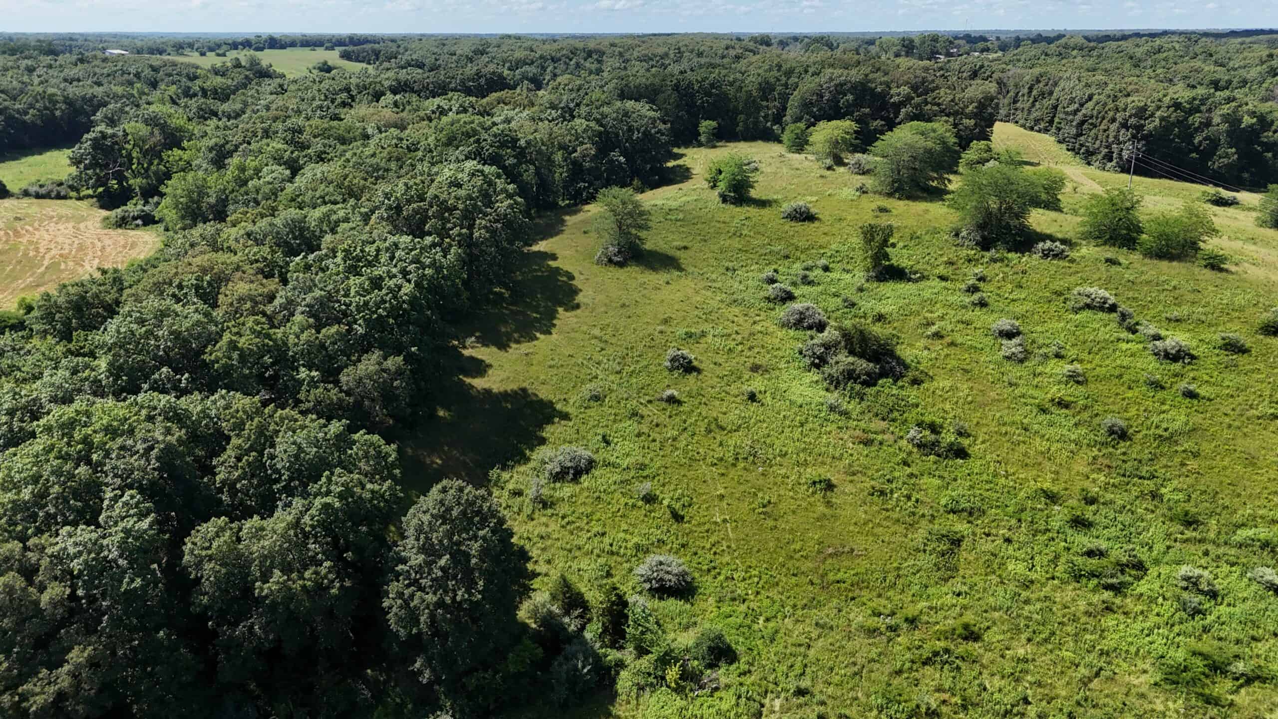 Outstanding Hunting Farm – 267 Acres in Lewis County, Missouri