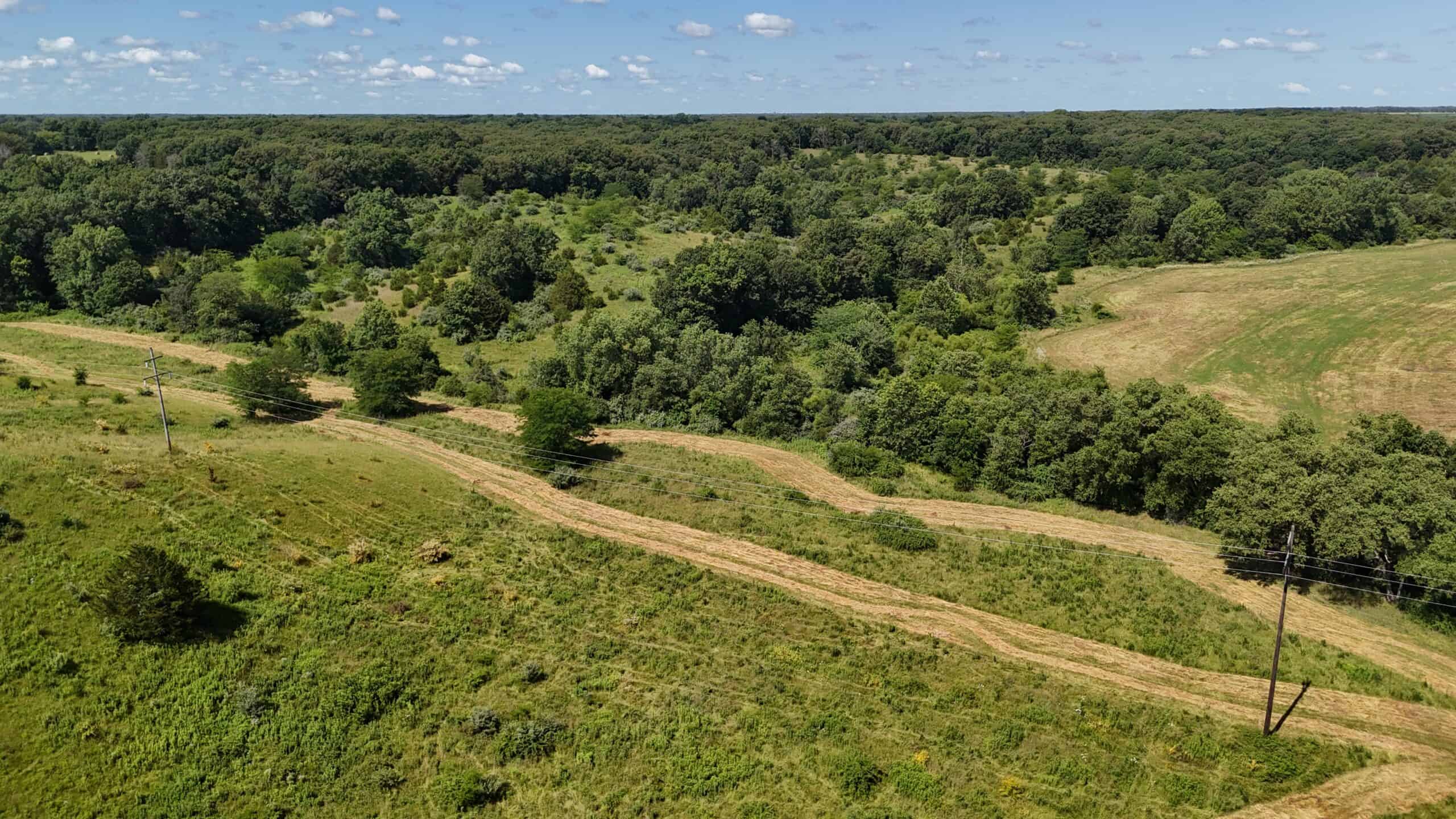 Outstanding Hunting Farm – 267 Acres in Lewis County, Missouri