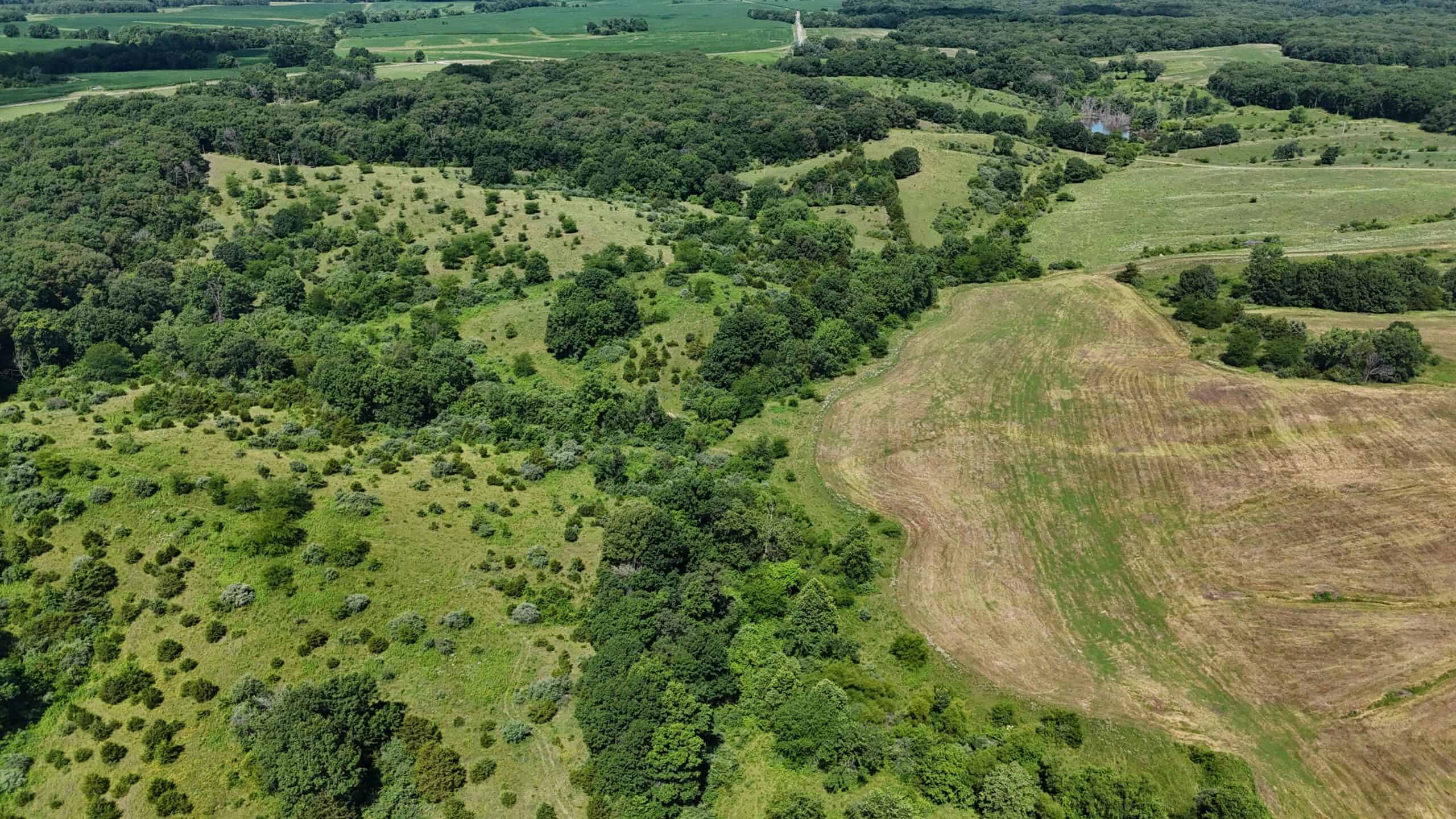 Outstanding Hunting Farm – 267 Acres in Lewis County, Missouri