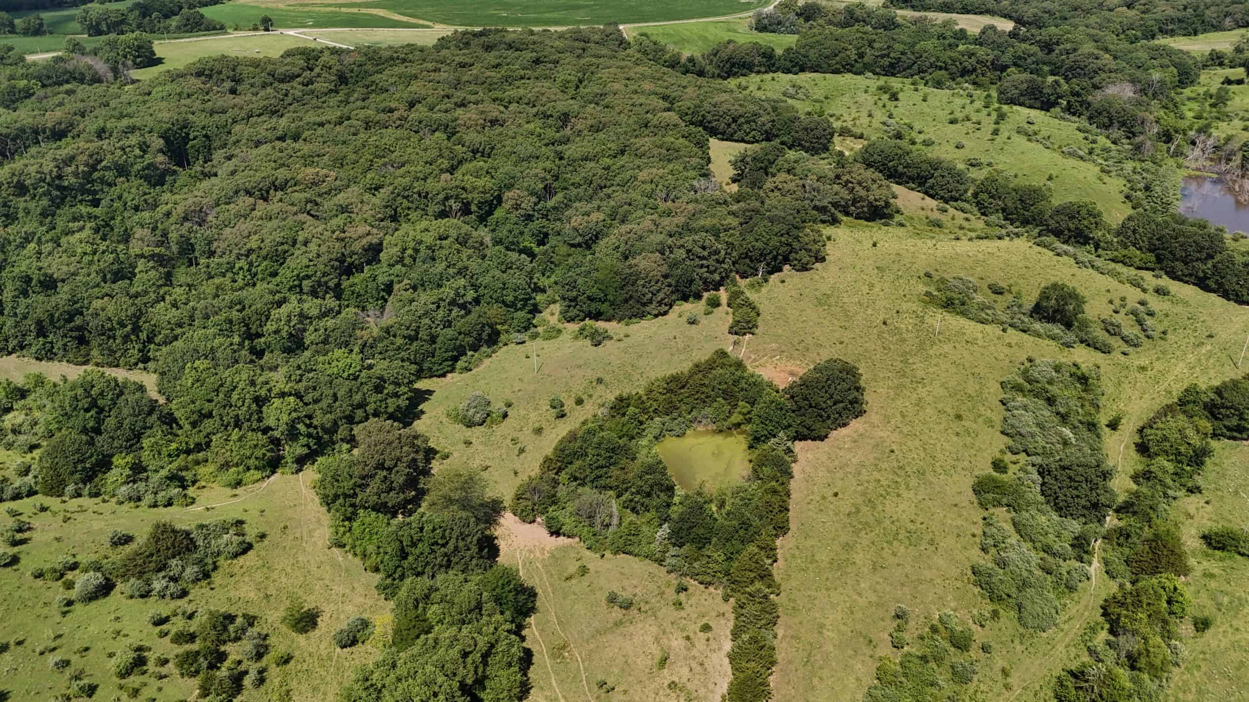Outstanding Hunting Farm – 267 Acres in Lewis County, Missouri