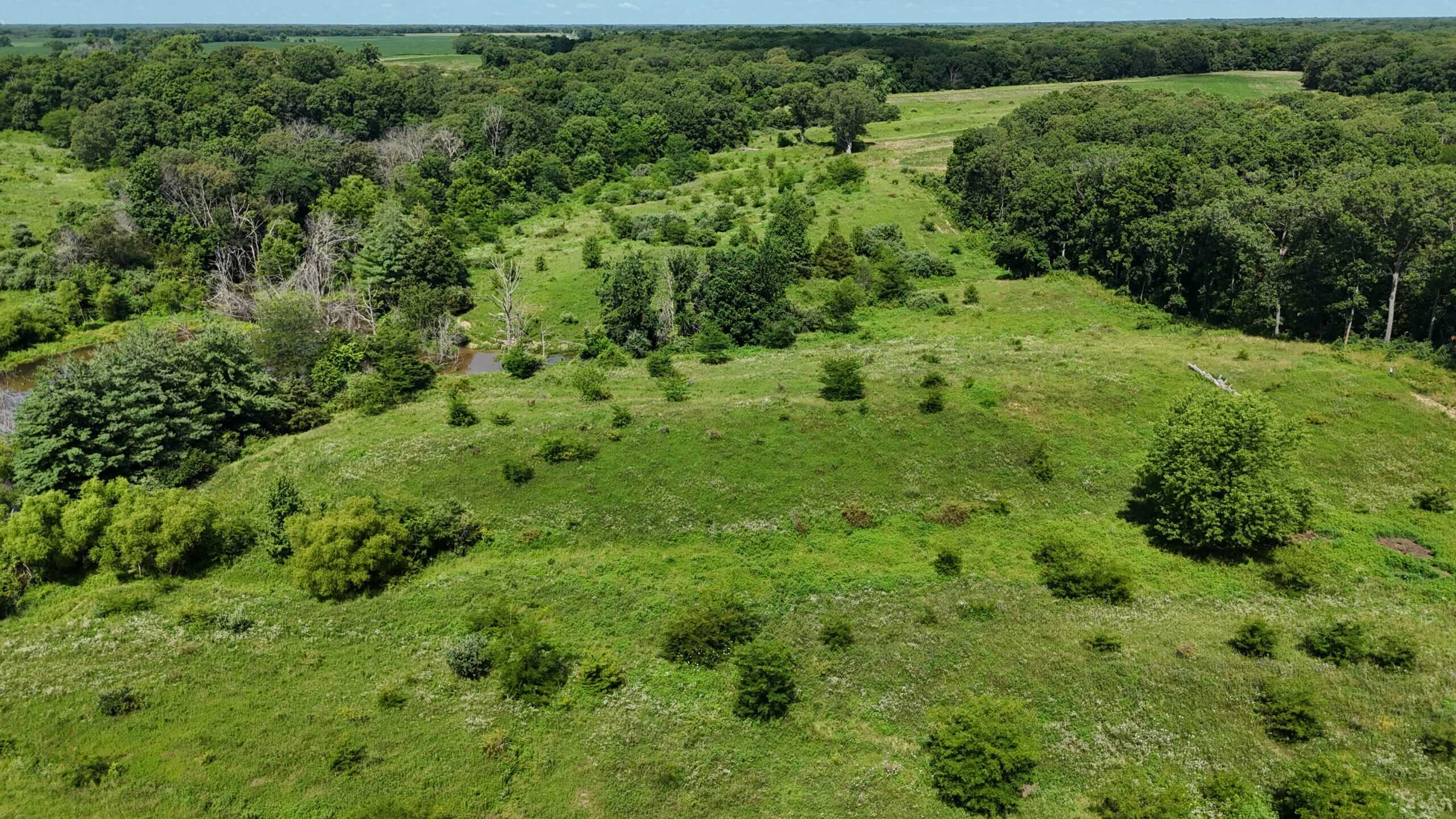 Outstanding Hunting Farm – 267 Acres in Lewis County, Missouri