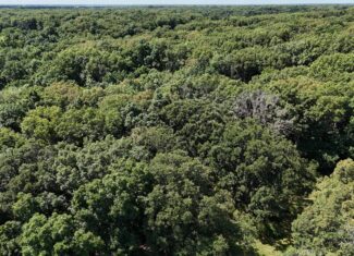 Outstanding Hunting Farm – 267 Acres in Lewis County, Missouri