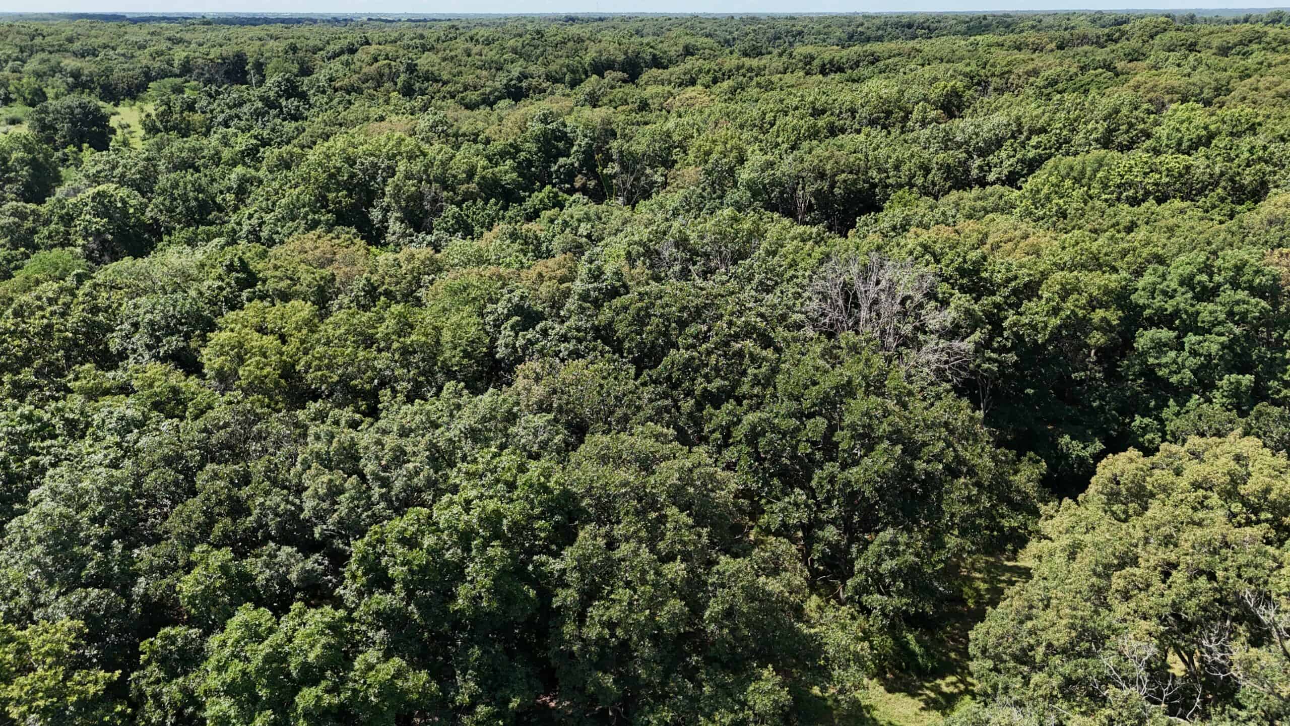 Outstanding Hunting Farm – 267 Acres in Lewis County, Missouri
