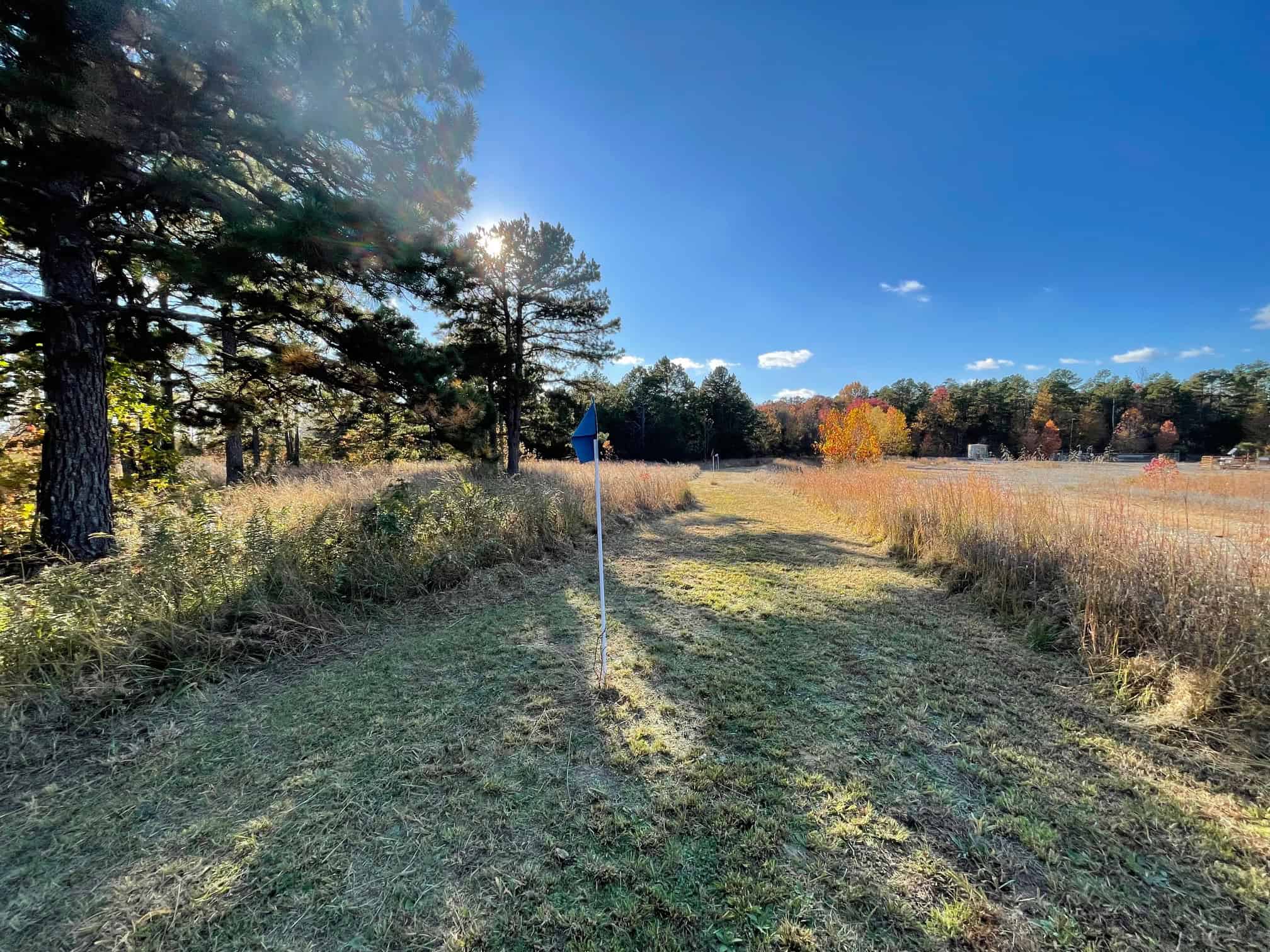Hobby Farm and 28 Acres in the Ozarks For Sale