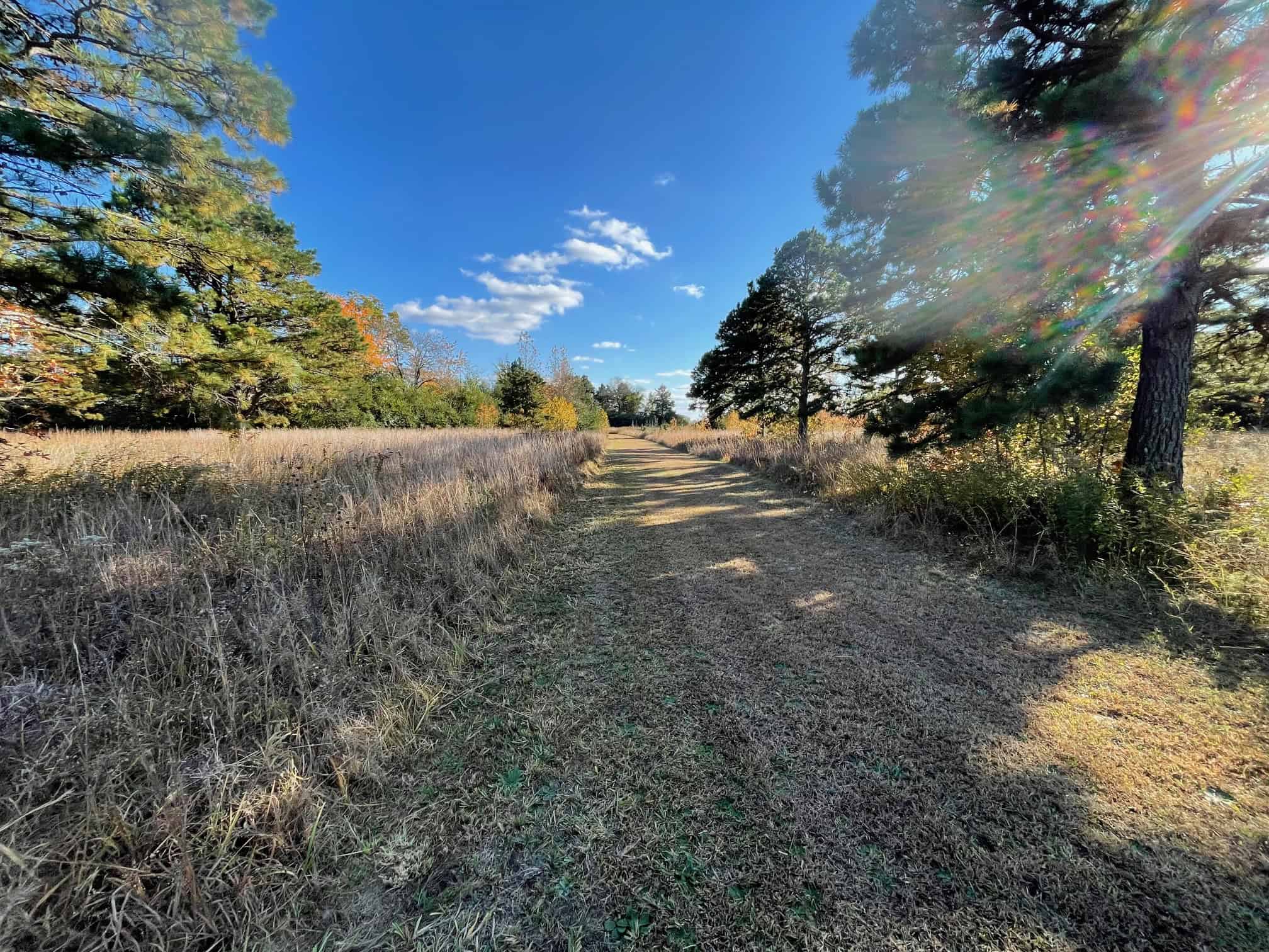 Hobby Farm and 28 Acres in the Ozarks For Sale