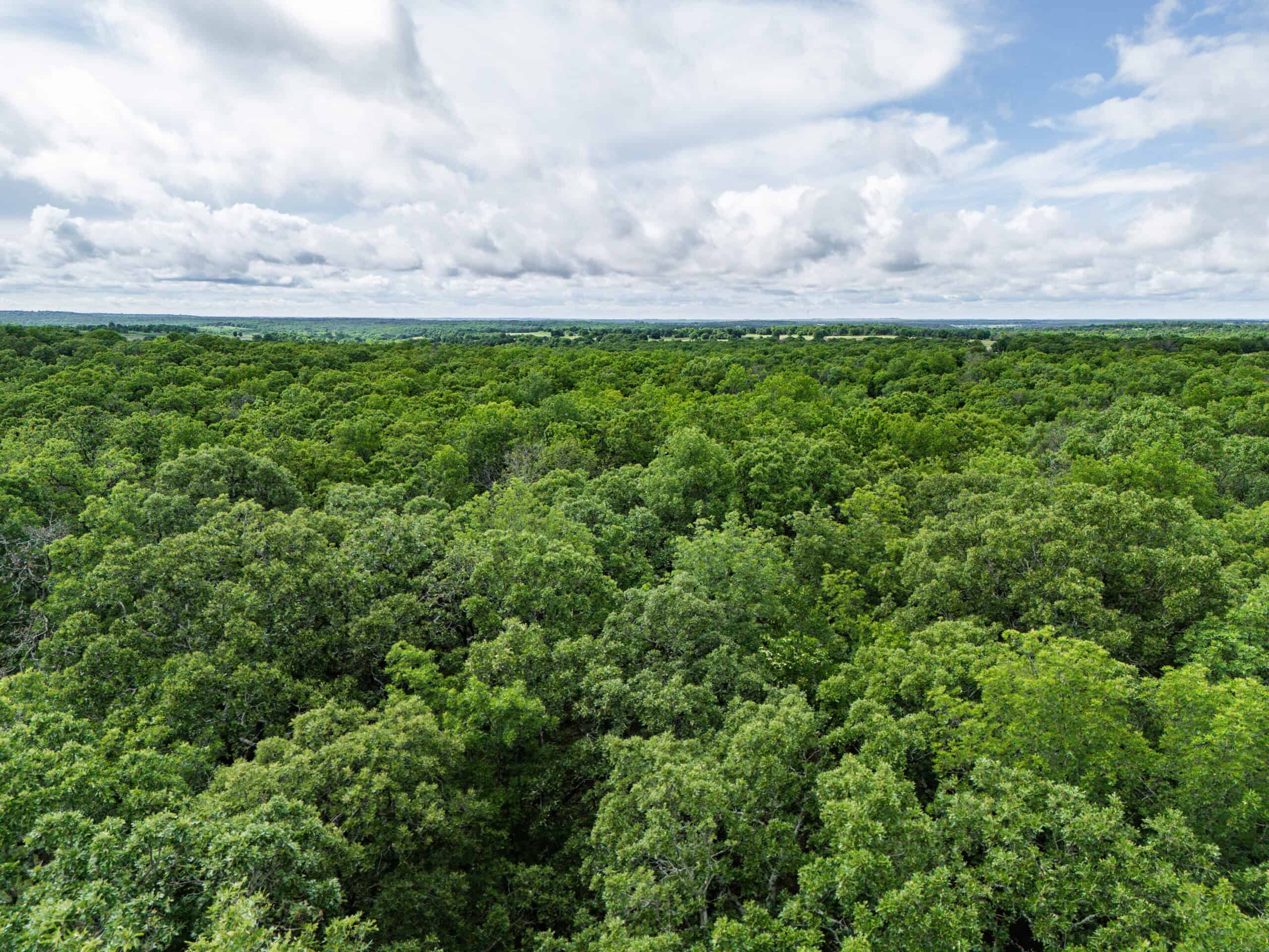 Chautauqua County, Kansas 315.56± Acres