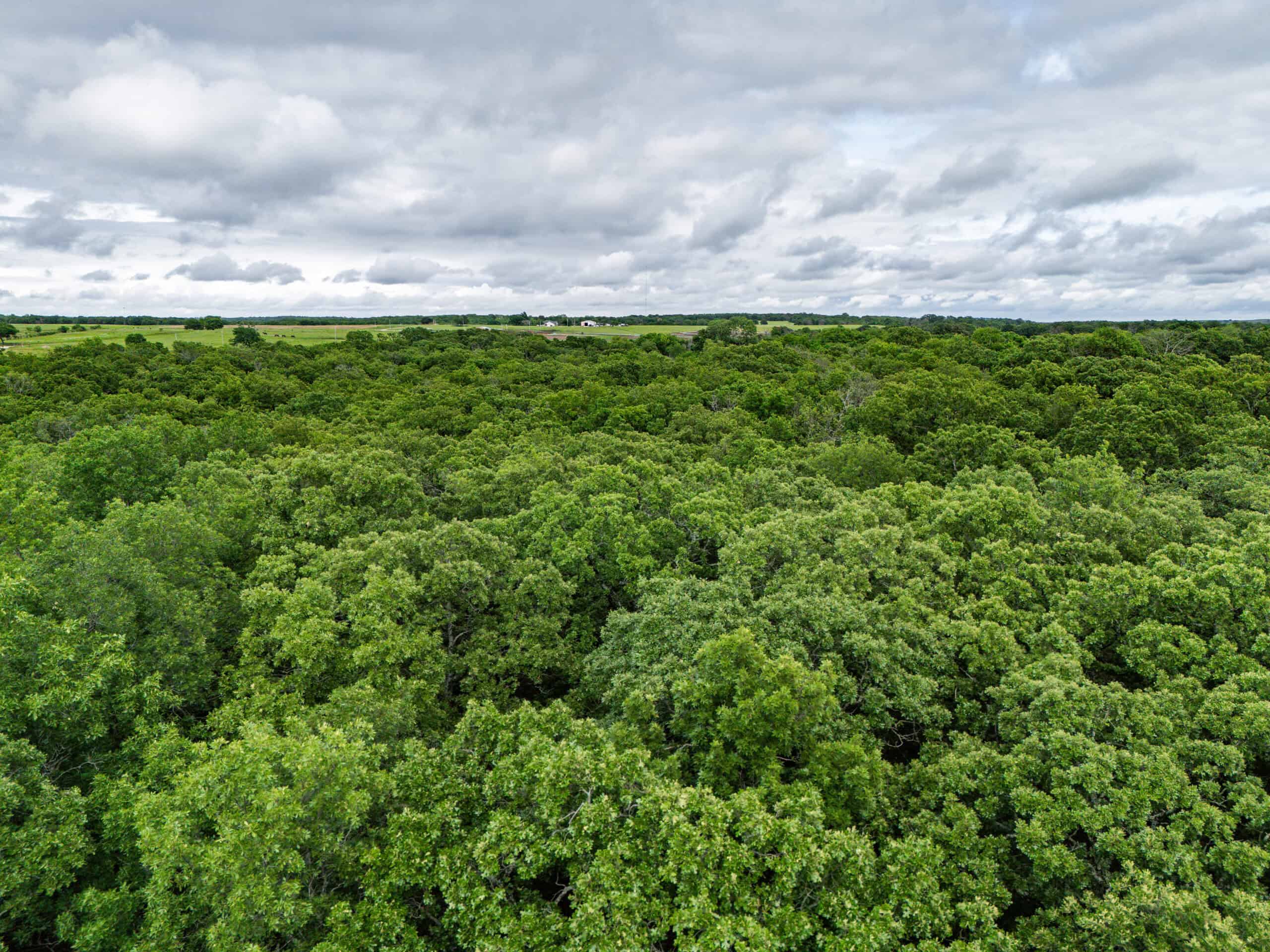 Chautauqua County, Kansas 315.56± Acres