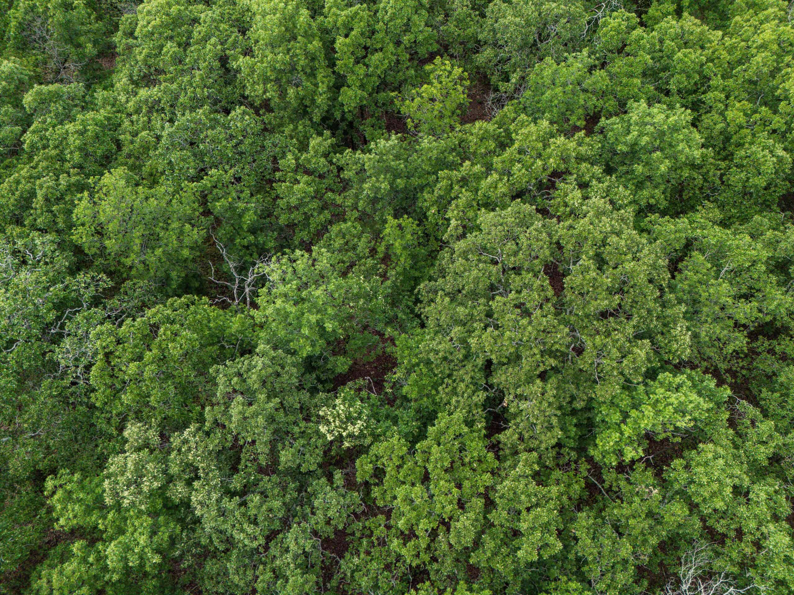 Chautauqua County, Kansas 315.56± Acres