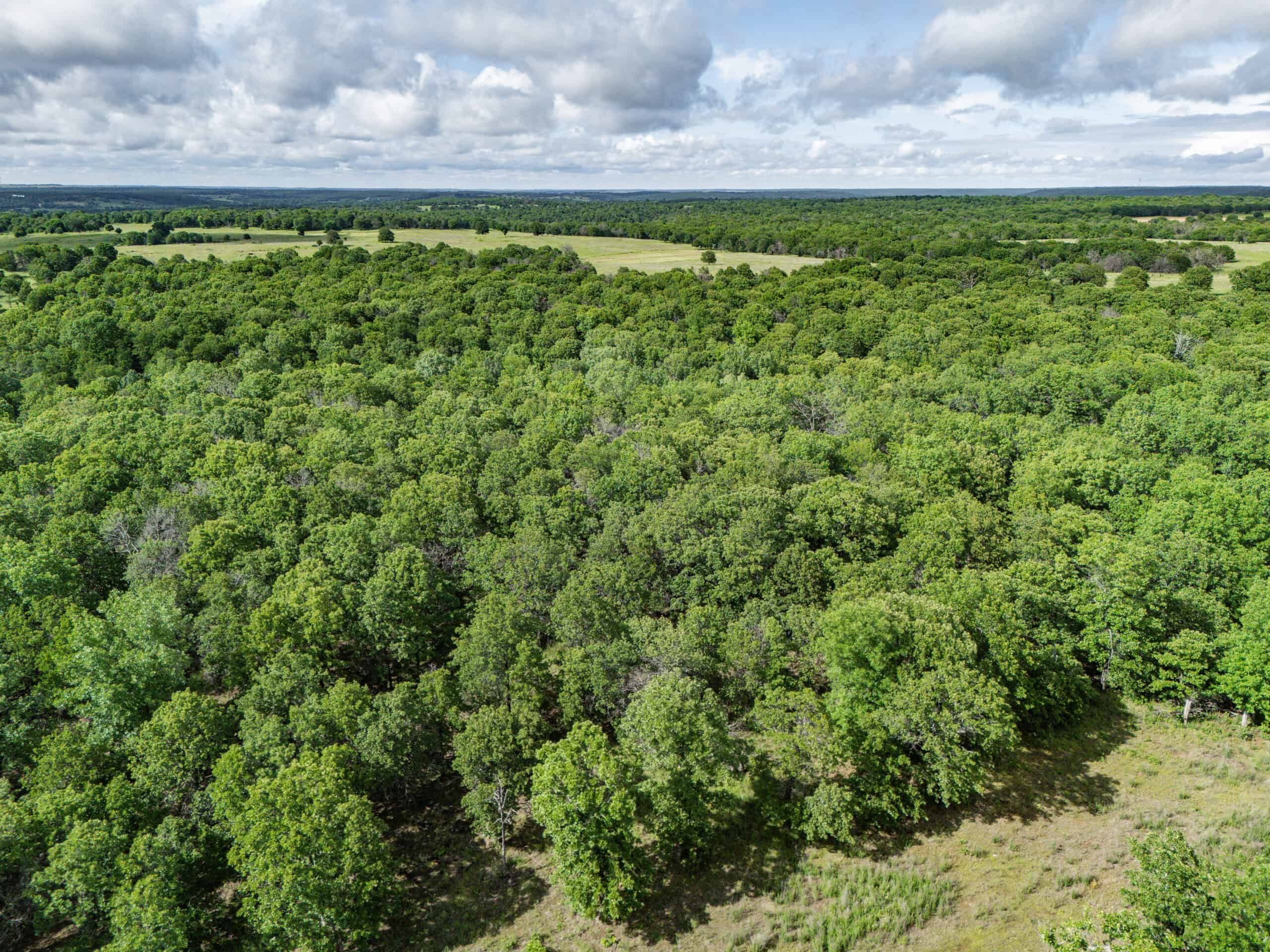 Chautauqua County, Kansas 315.56± Acres