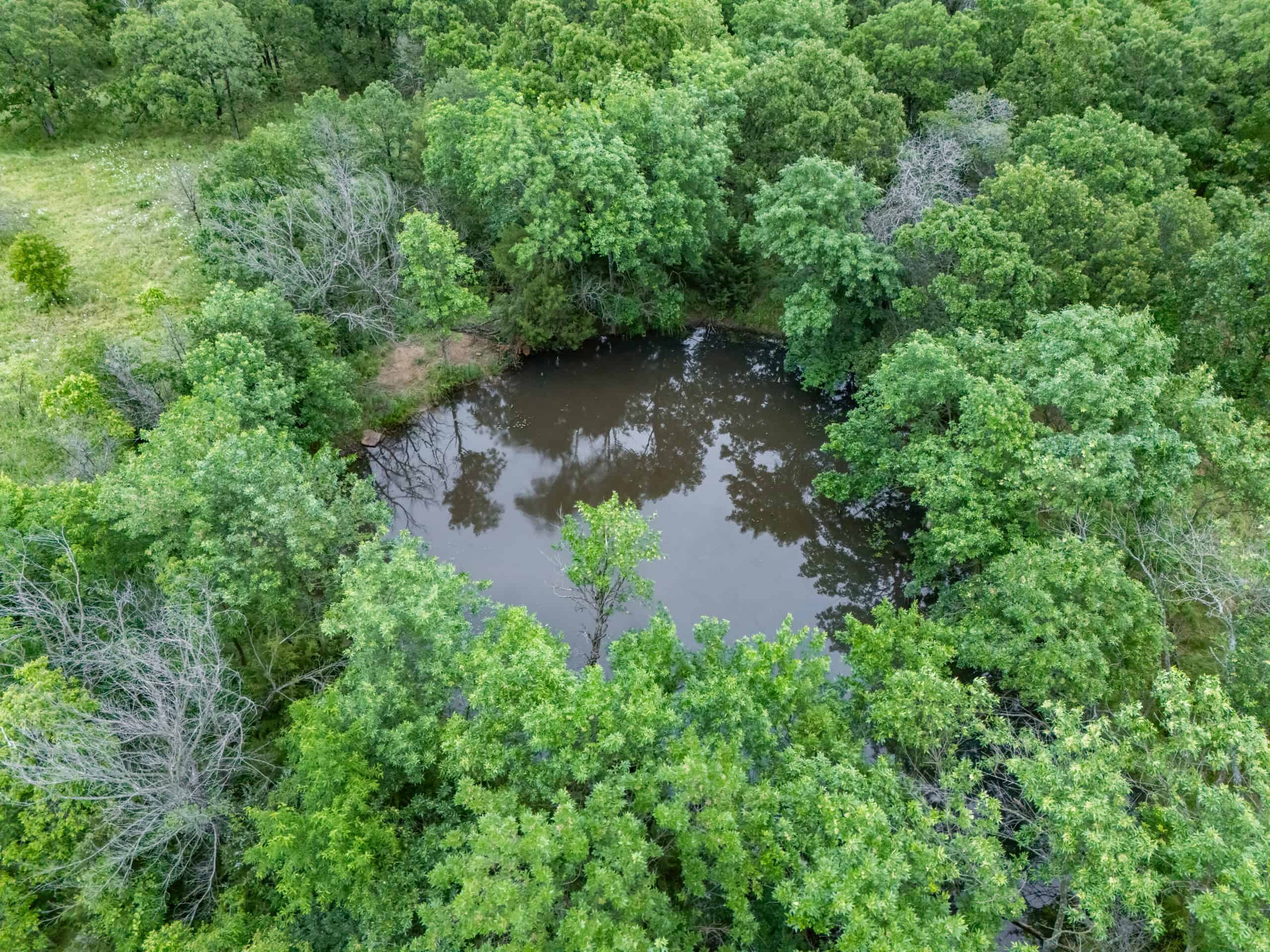 Chautauqua County, Kansas 315.56± Acres