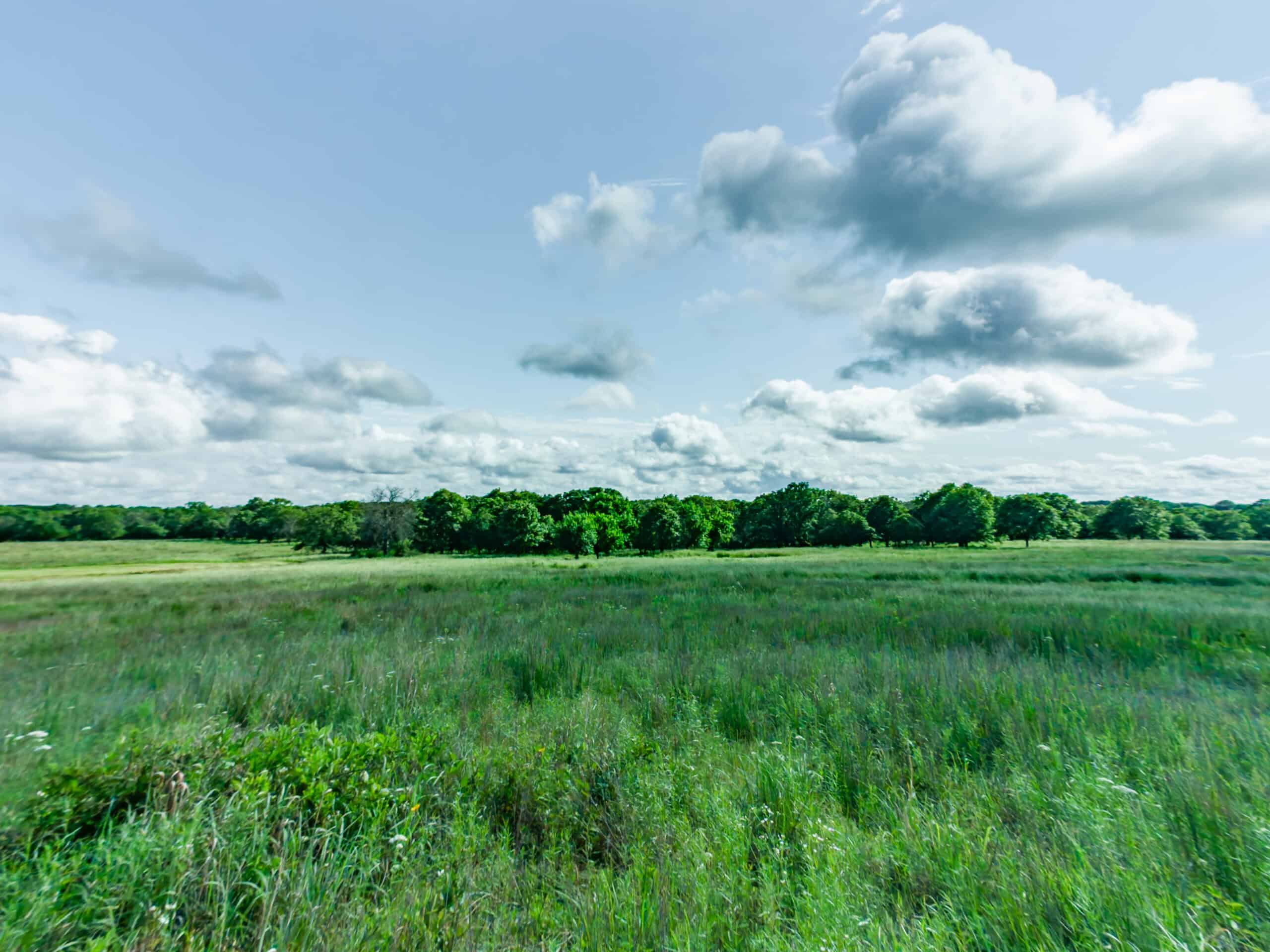 Chautauqua County, Kansas 315.56± Acres