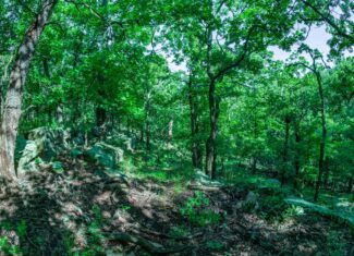 Chautauqua County, Kansas 315.56± Acres