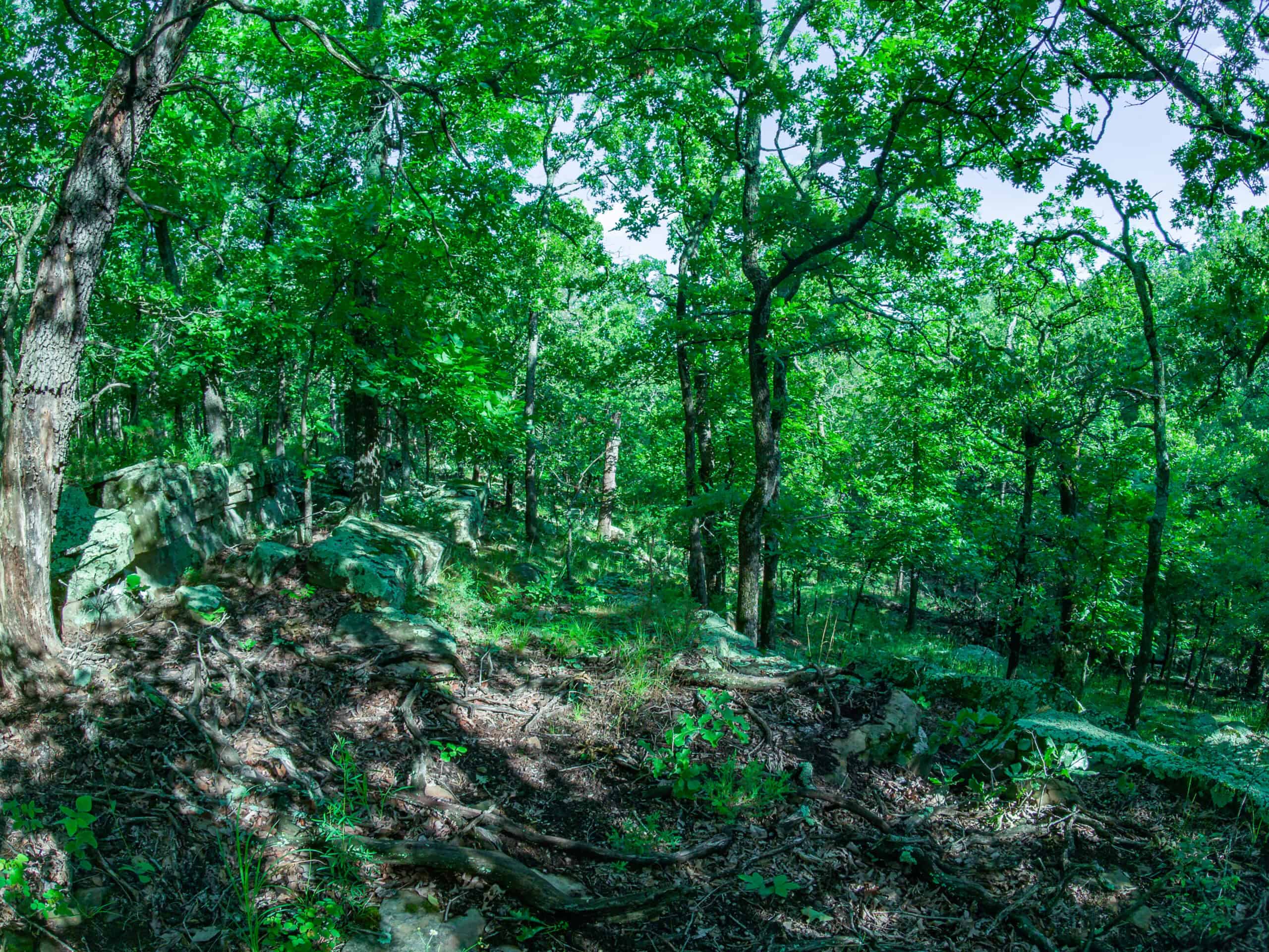 Chautauqua County, Kansas 315.56± Acres