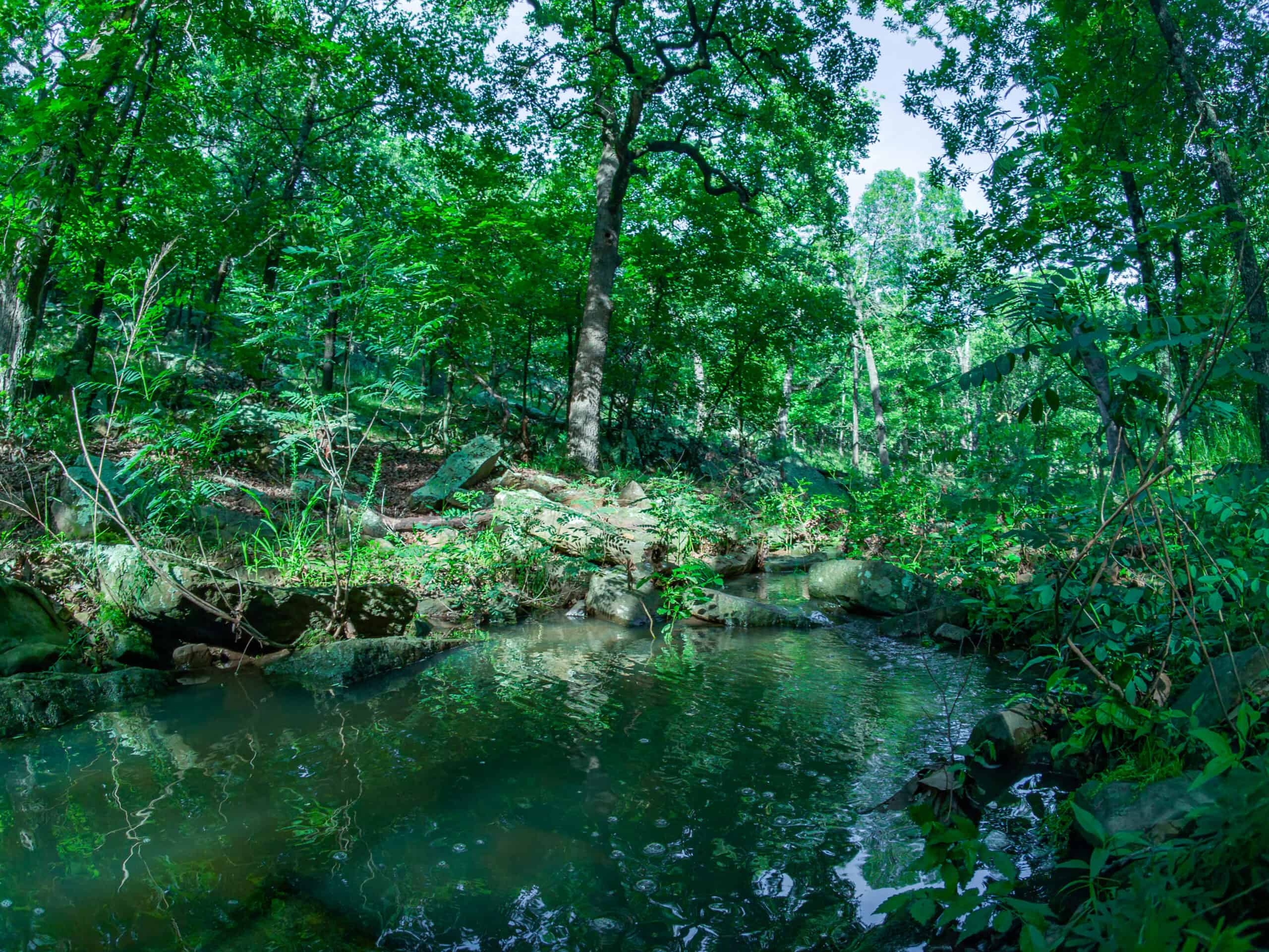 Chautauqua County, Kansas 315.56± Acres
