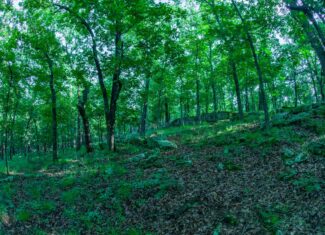 Chautauqua County, Kansas 315.56± Acres