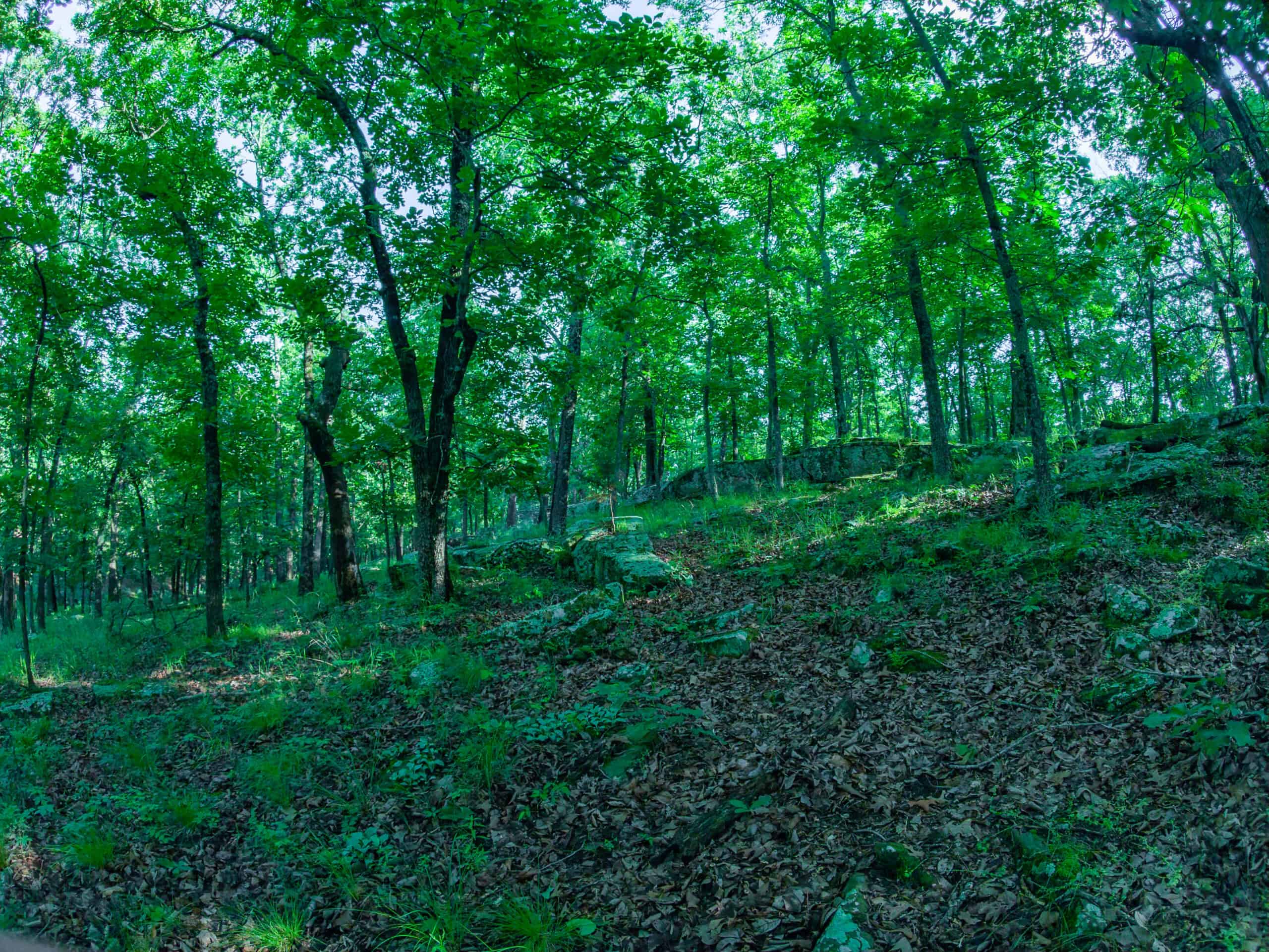 Chautauqua County, Kansas 315.56± Acres