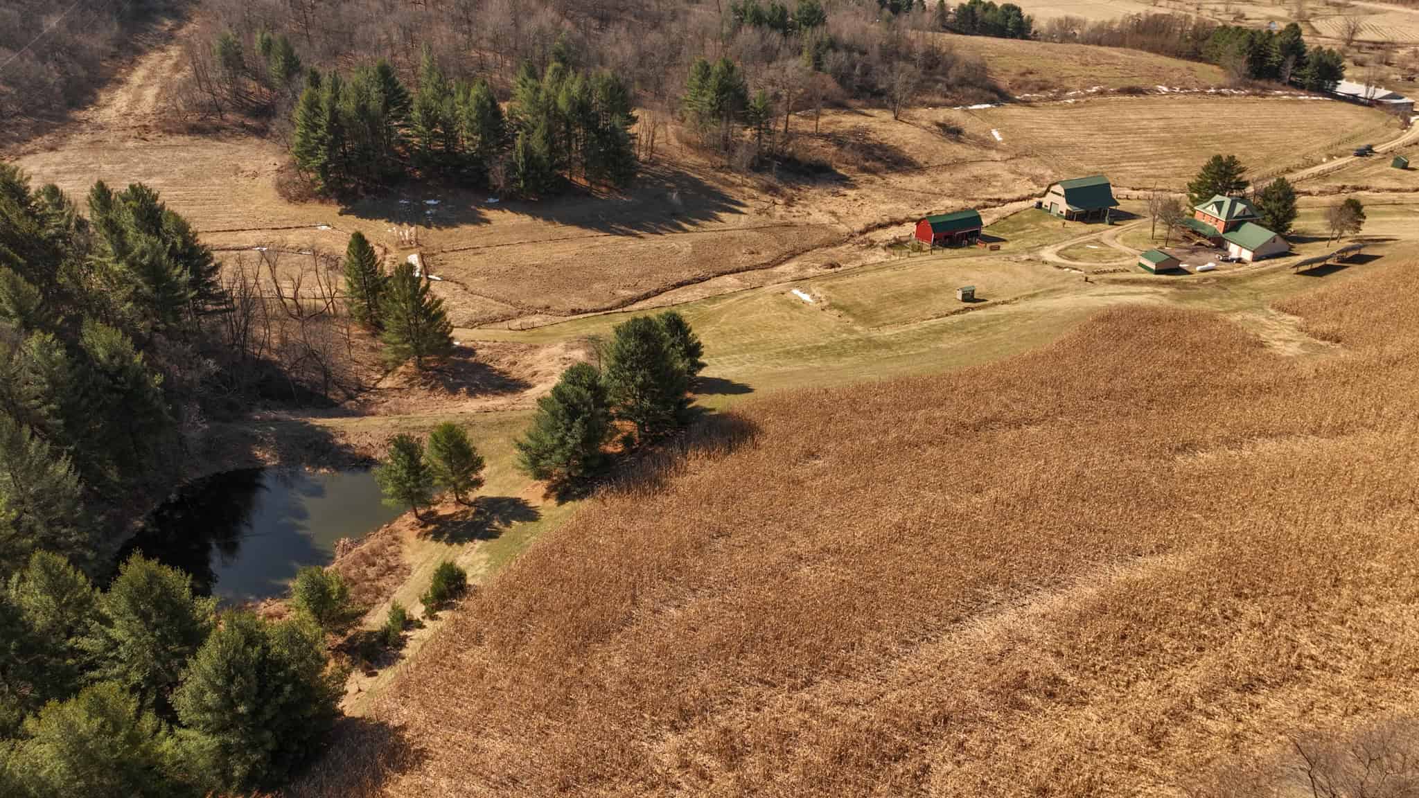 Legacy Farm & Country Estate in Hillsboro, WI | Trophy Hunting Land, Tillable & Farmhouse on 169+/- Acre