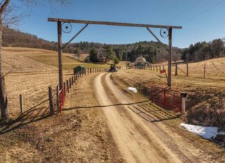 Legacy Farm & Country Estate in Hillsboro, WI | Trophy Hunting Land, Tillable & Farmhouse on 169+/- Acre