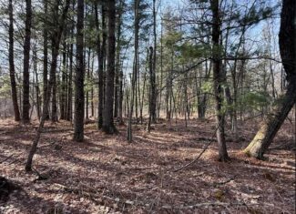 40-Acre Recreational Hunting Tract in Central Monroe County