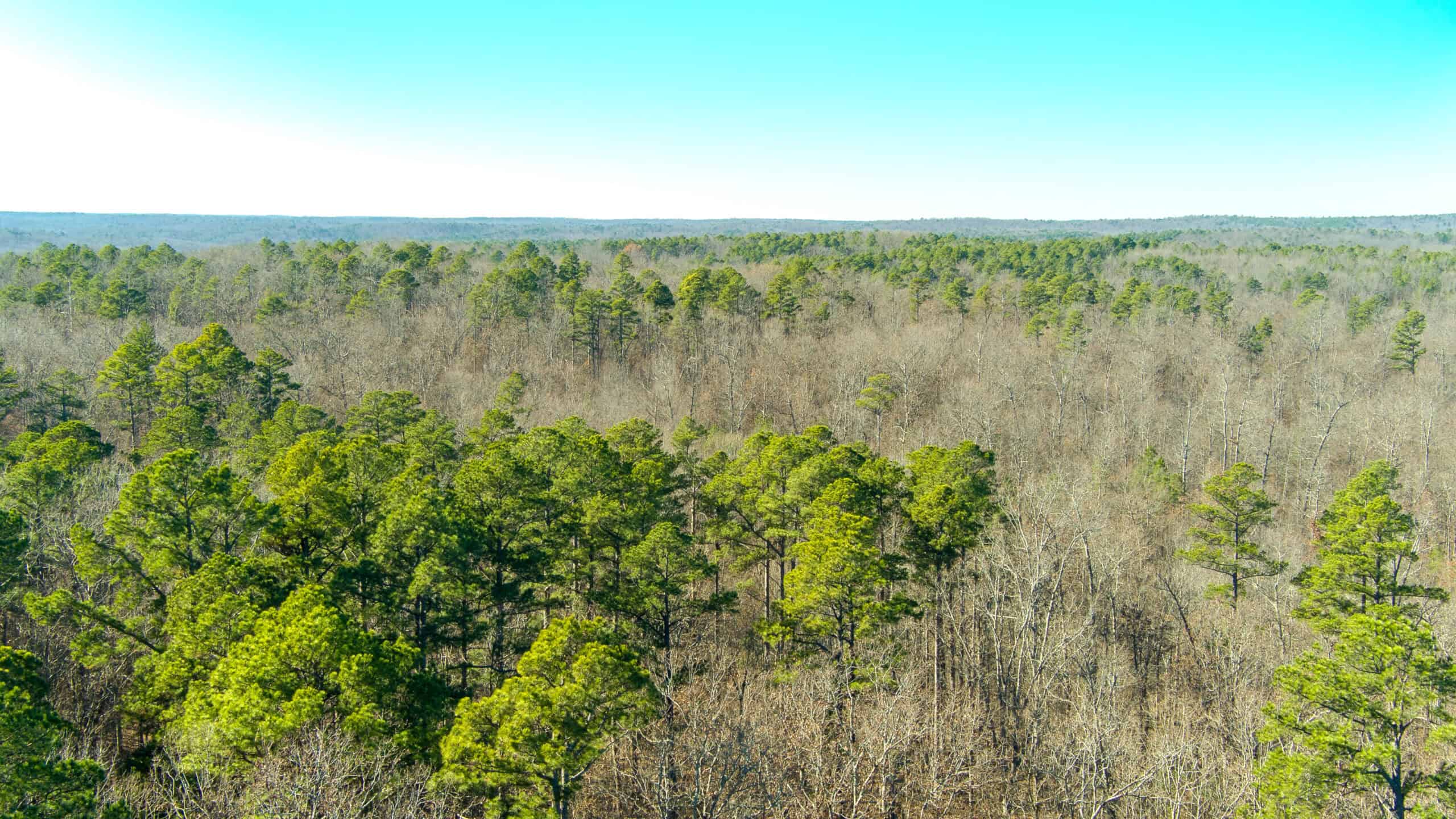 Land for Sale in Salem, Missouri – Parcel 2