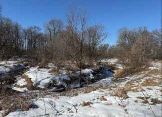 40-Acre Recreational Hunting Tract in Central Monroe County