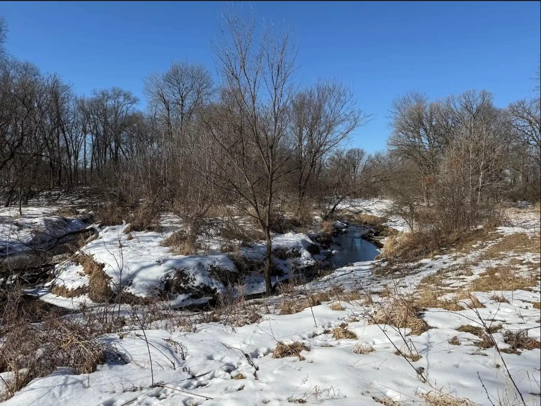 40-Acre Recreational Hunting Tract in Central Monroe County
