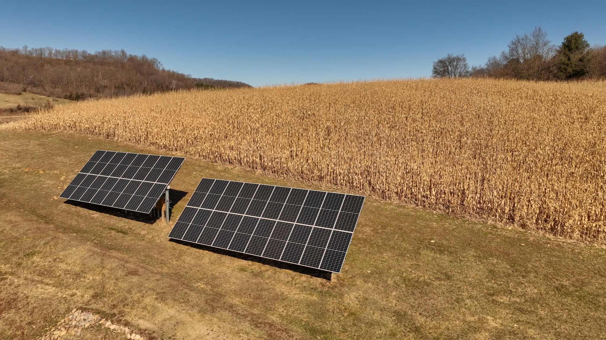 Legacy Farm & Country Estate in Hillsboro, WI | Trophy Hunting Land, Tillable & Farmhouse on 169+/- Acre