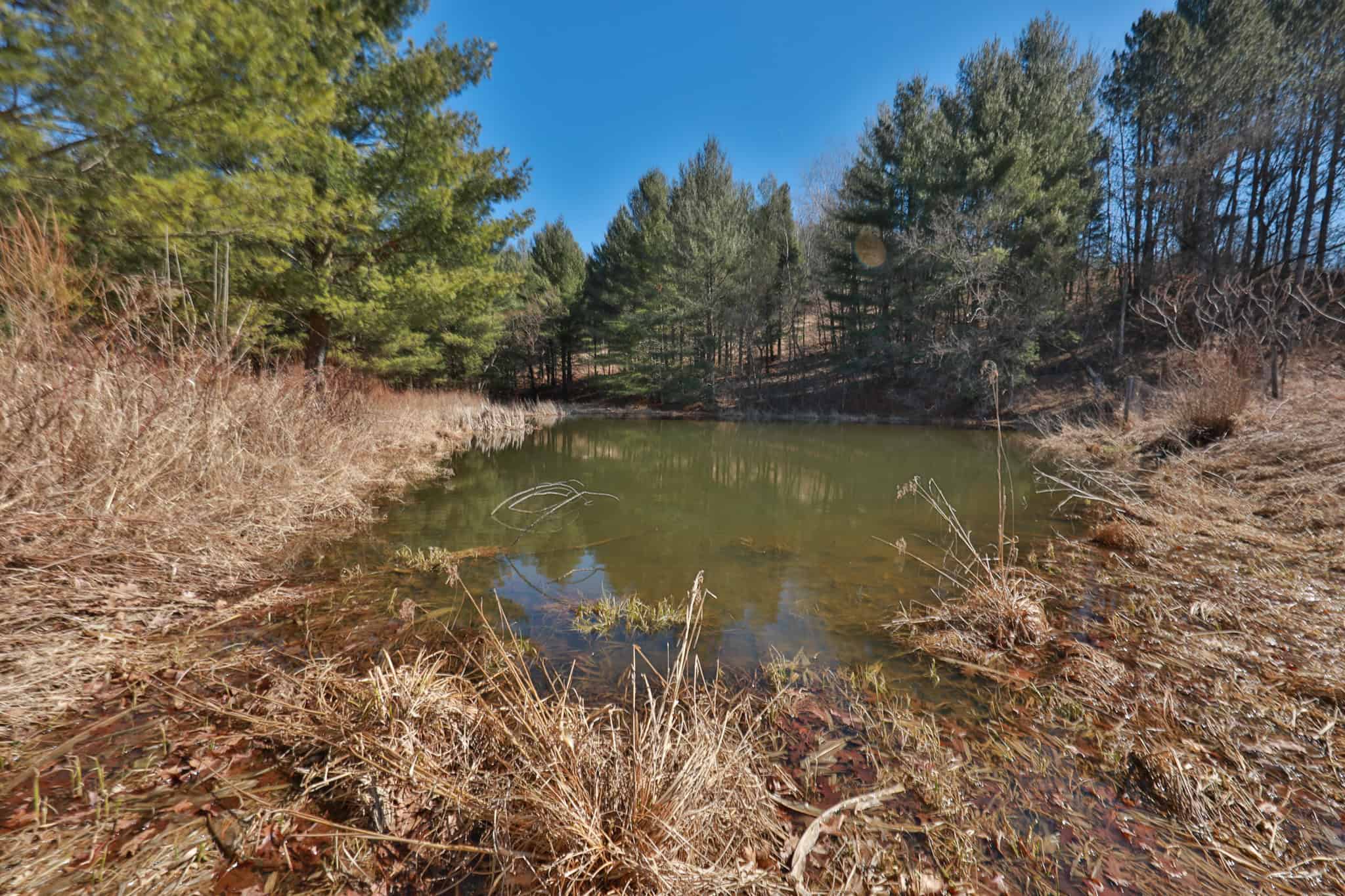 Legacy Farm & Country Estate in Hillsboro, WI | Trophy Hunting Land, Tillable & Farmhouse on 169+/- Acre