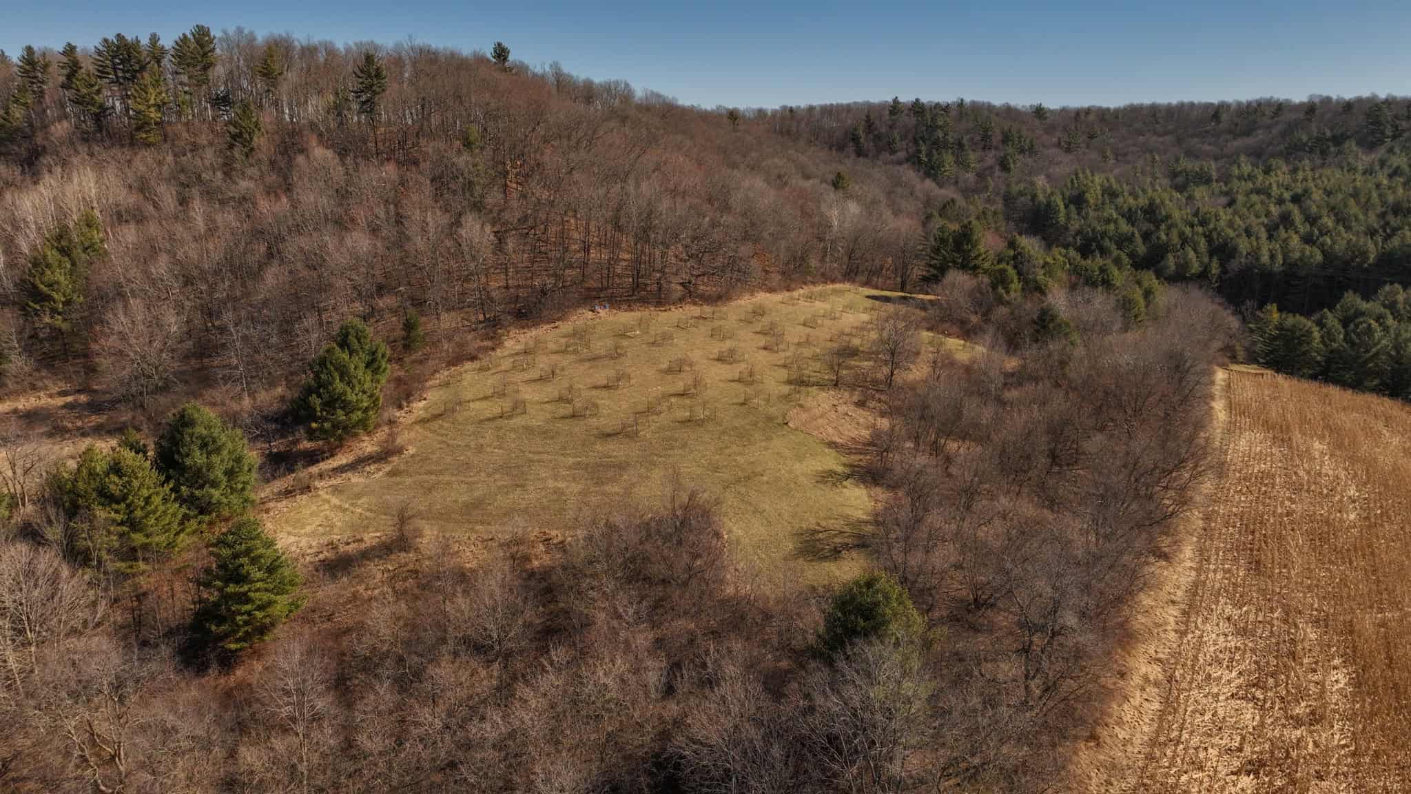 Legacy Farm & Country Estate in Hillsboro, WI | Trophy Hunting Land, Tillable & Farmhouse on 169+/- Acre