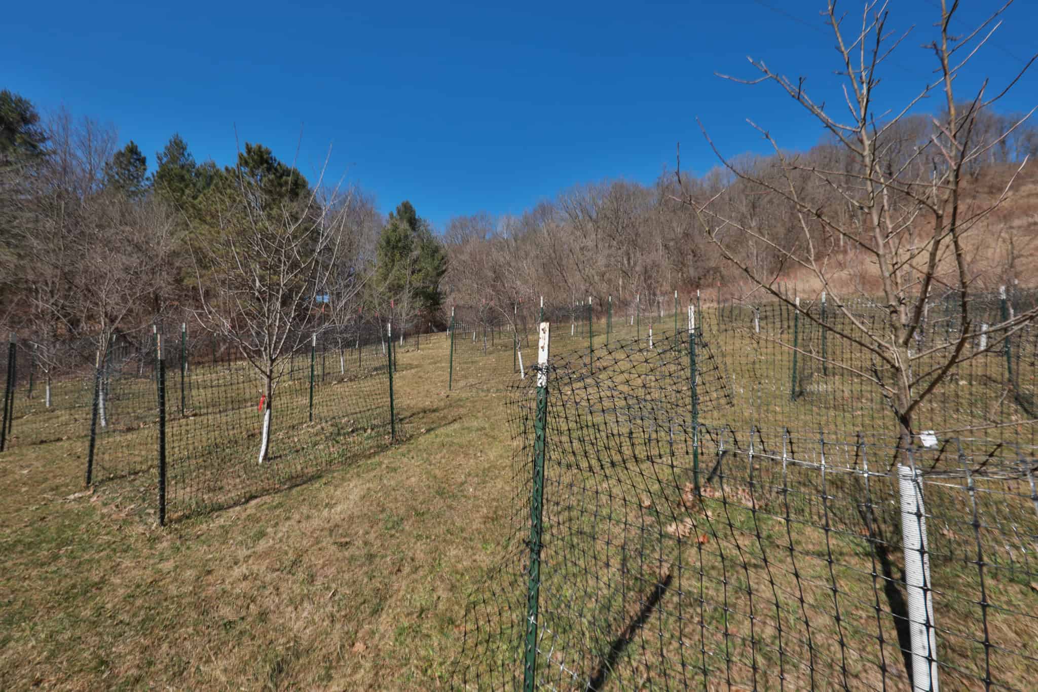 Legacy Farm & Country Estate in Hillsboro, WI | Trophy Hunting Land, Tillable & Farmhouse on 169+/- Acre
