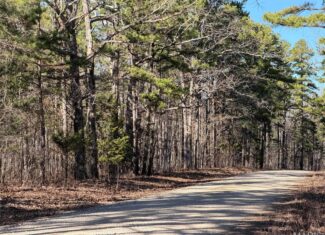 Land for Sale in Salem, Missouri – Parcel 1