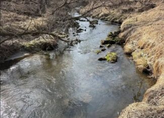 40-Acre Recreational Hunting Tract in Central Monroe County