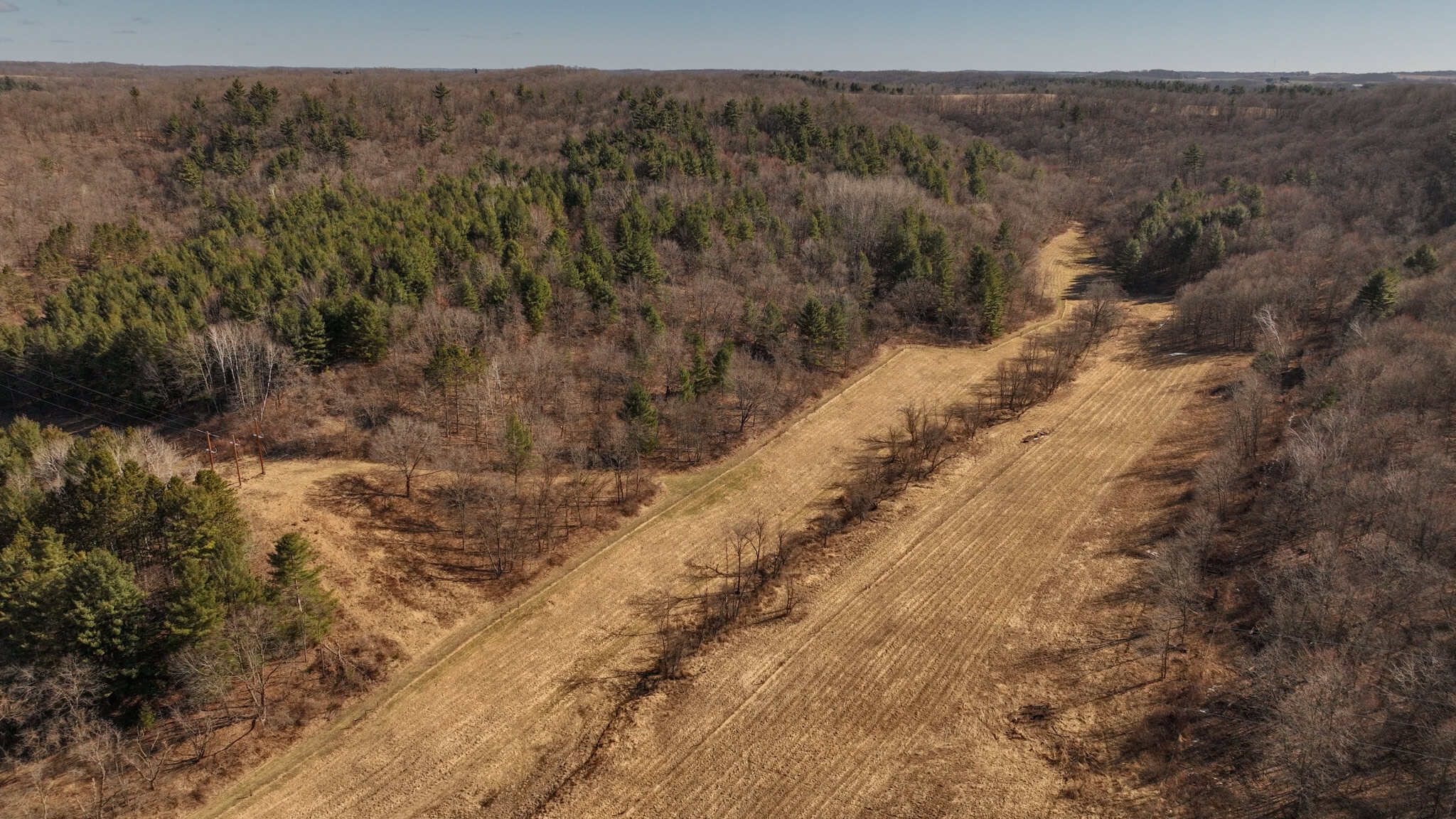 Legacy Farm & Country Estate in Hillsboro, WI | Trophy Hunting Land, Tillable & Farmhouse on 169+/- Acre