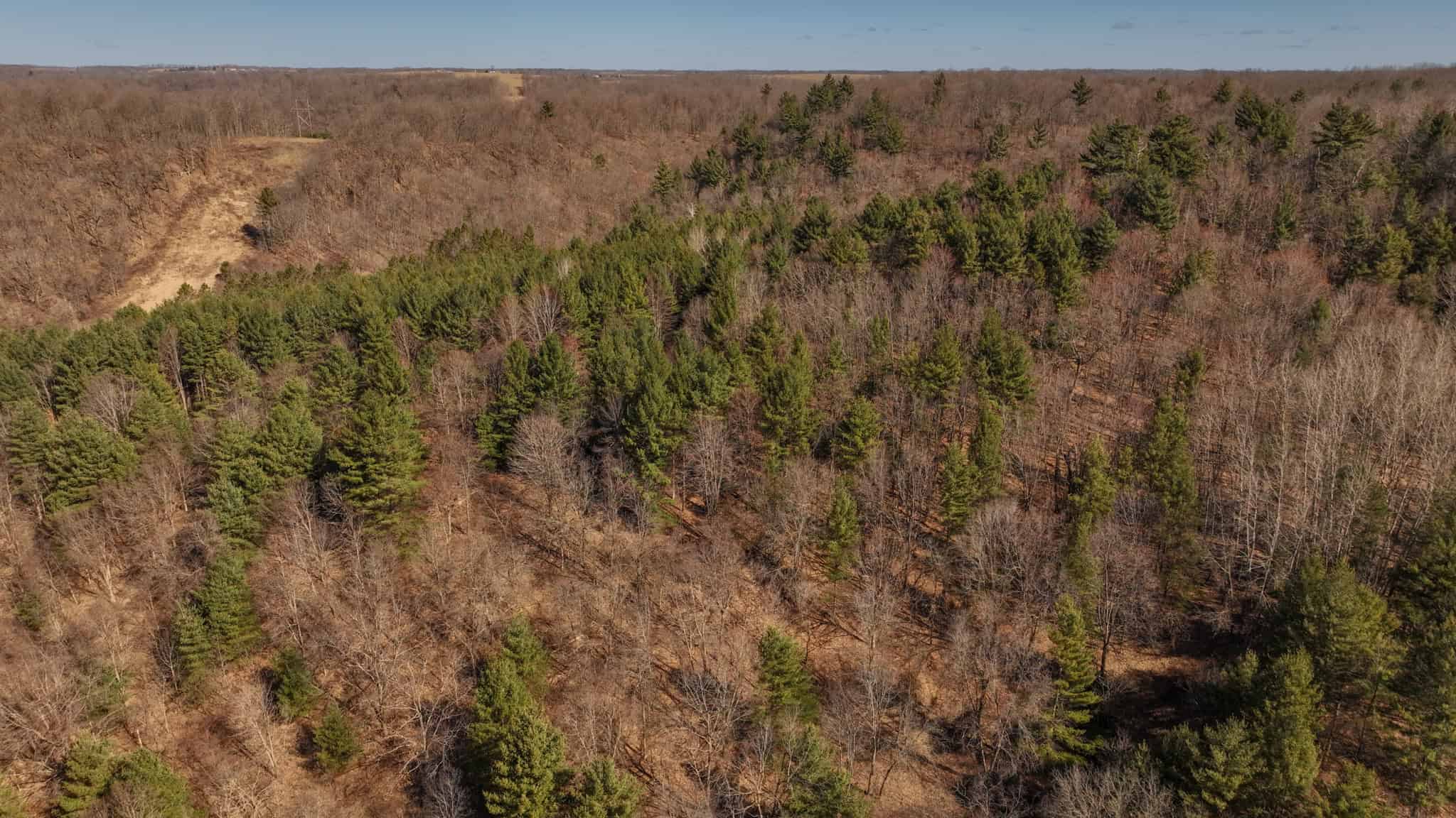 Legacy Farm & Country Estate in Hillsboro, WI | Trophy Hunting Land, Tillable & Farmhouse on 169+/- Acre