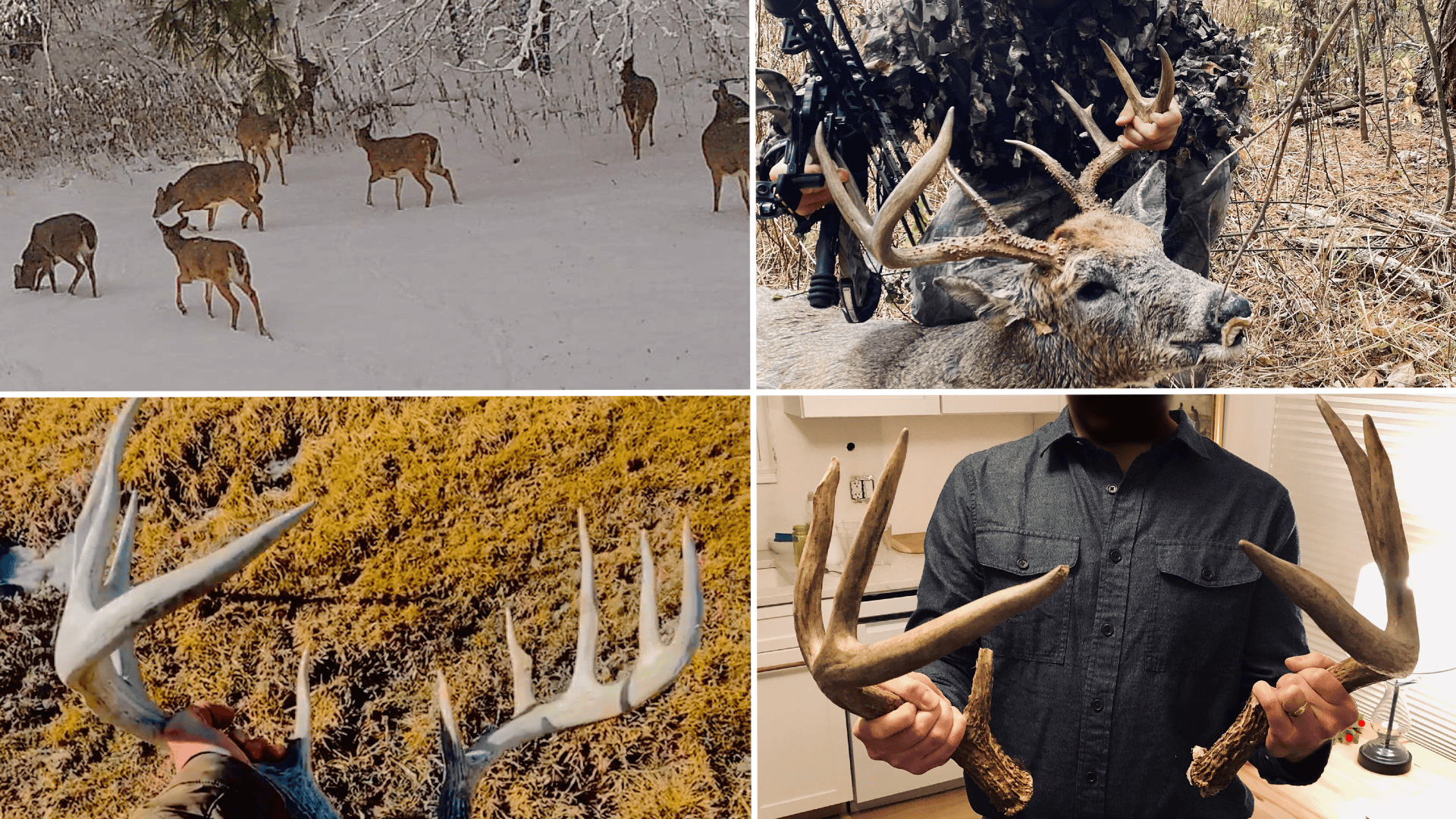 Legacy Farm & Country Estate in Hillsboro, WI | Trophy Hunting Land, Tillable & Farmhouse on 169+/- Acre