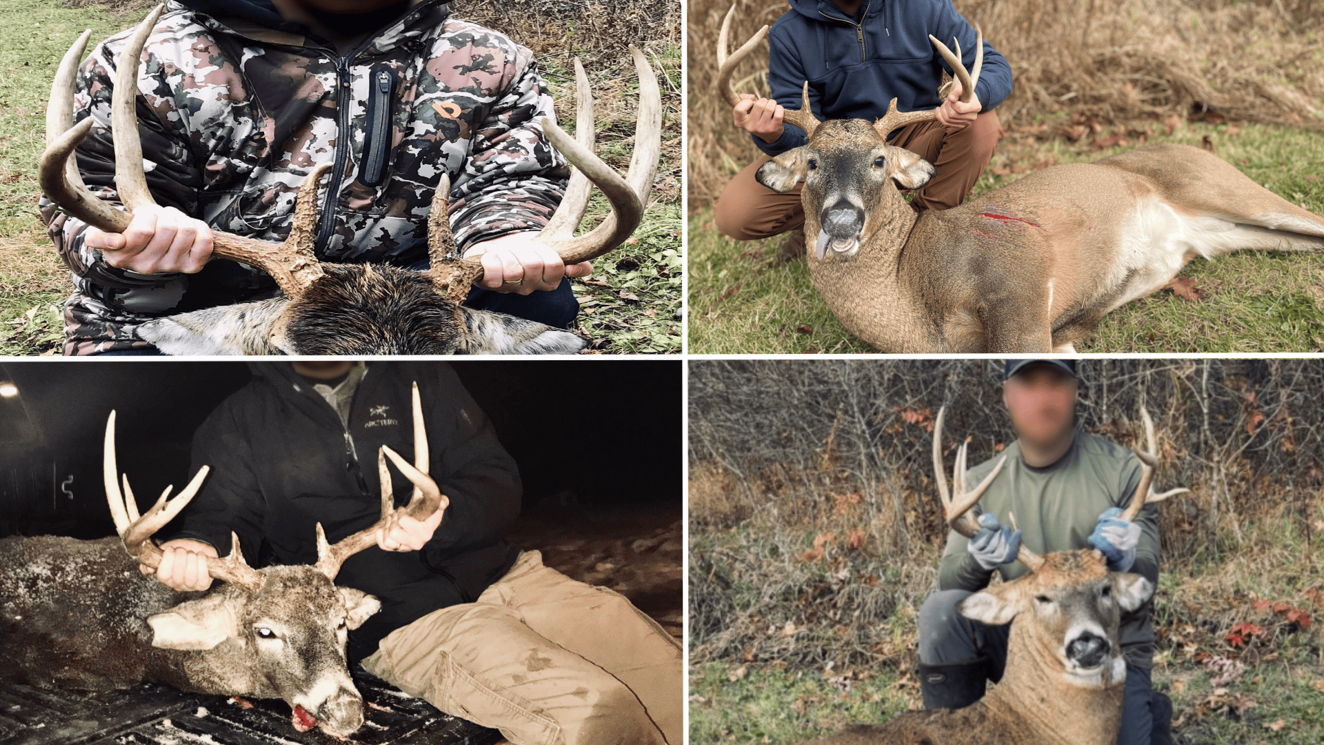 Legacy Farm & Country Estate in Hillsboro, WI | Trophy Hunting Land, Tillable & Farmhouse on 169+/- Acre