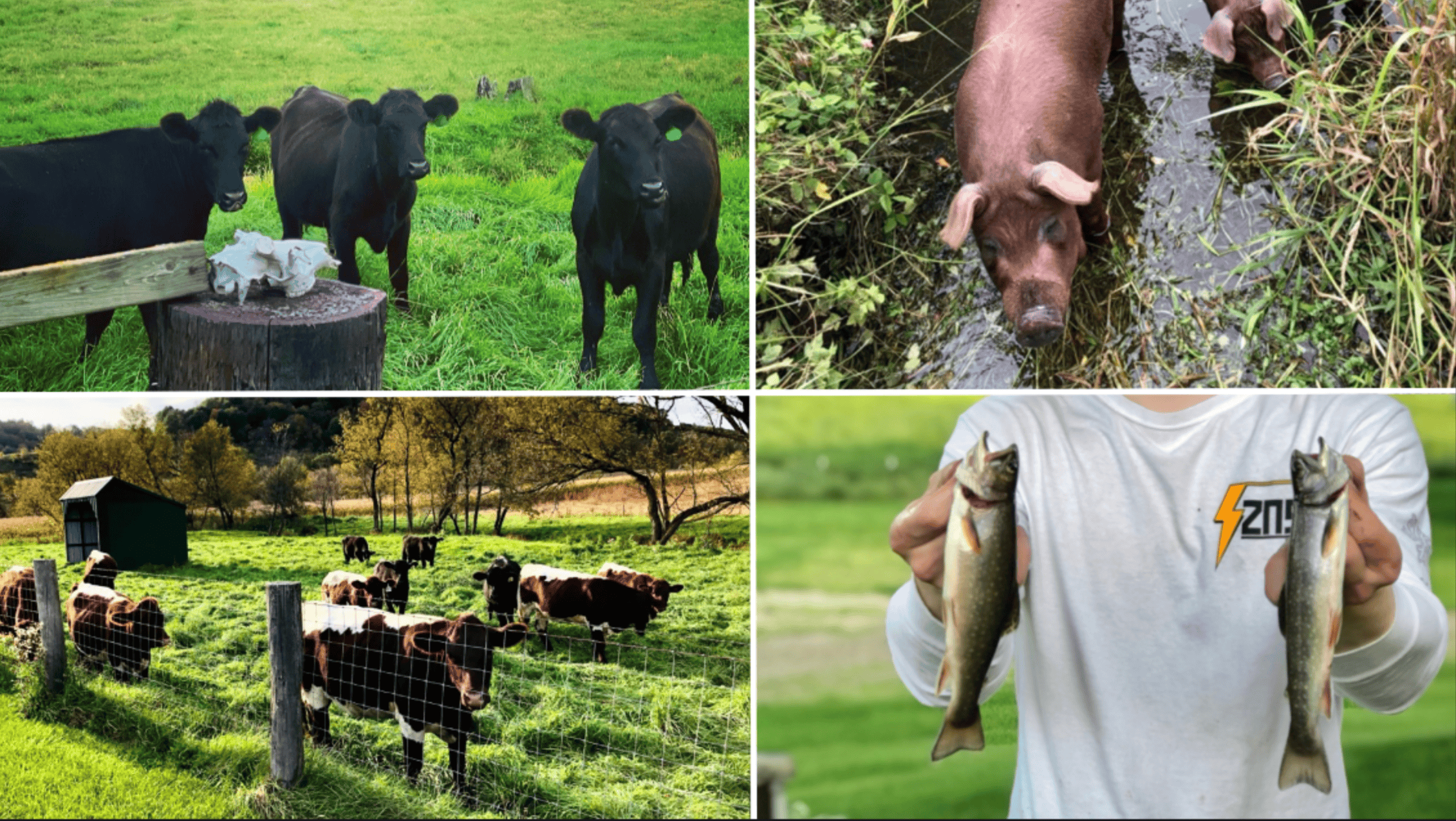 Legacy Farm & Country Estate in Hillsboro, WI | Trophy Hunting Land, Tillable & Farmhouse on 169+/- Acre