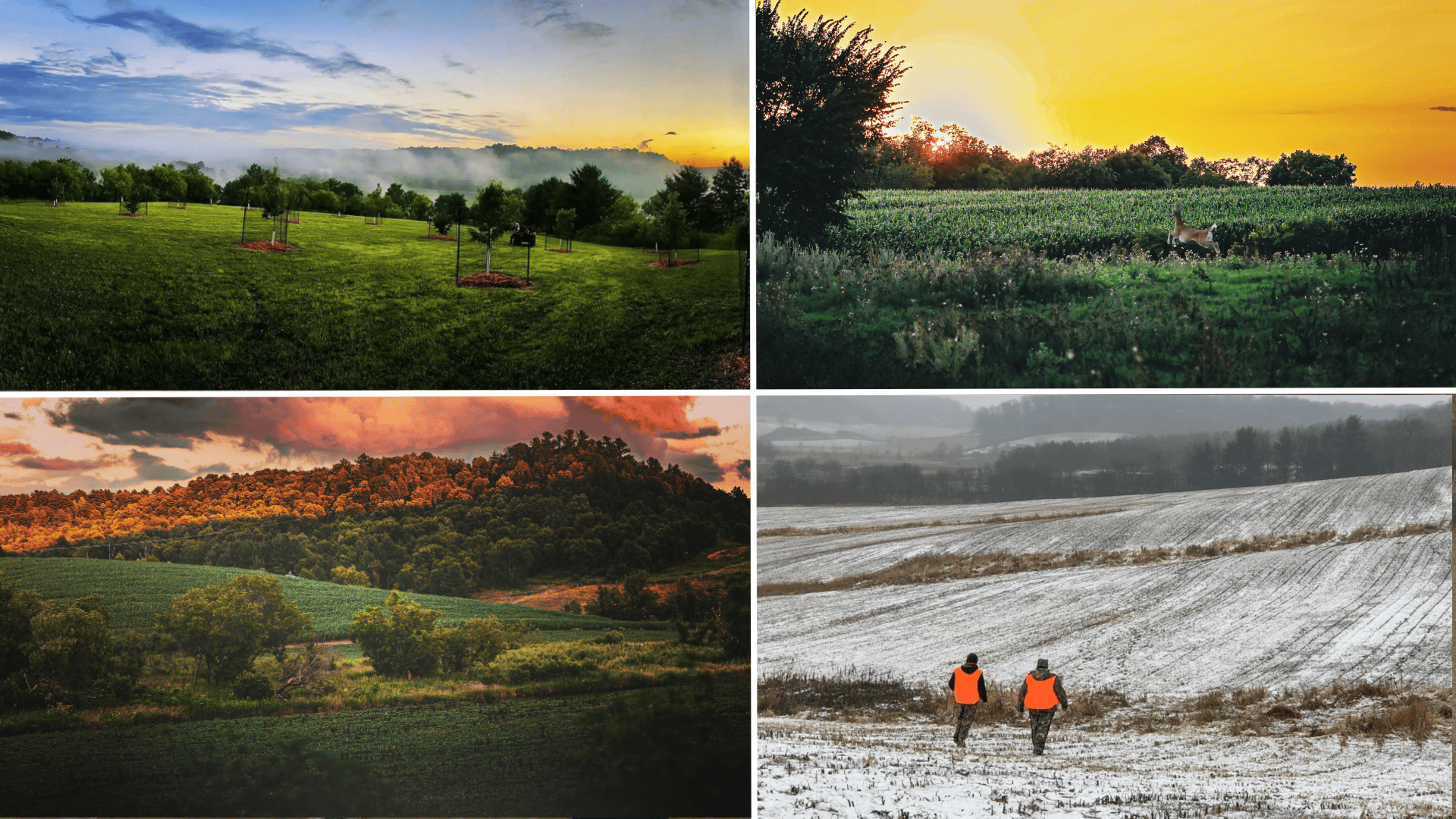 Legacy Farm & Country Estate in Hillsboro, WI | Trophy Hunting Land, Tillable & Farmhouse on 169+/- Acre