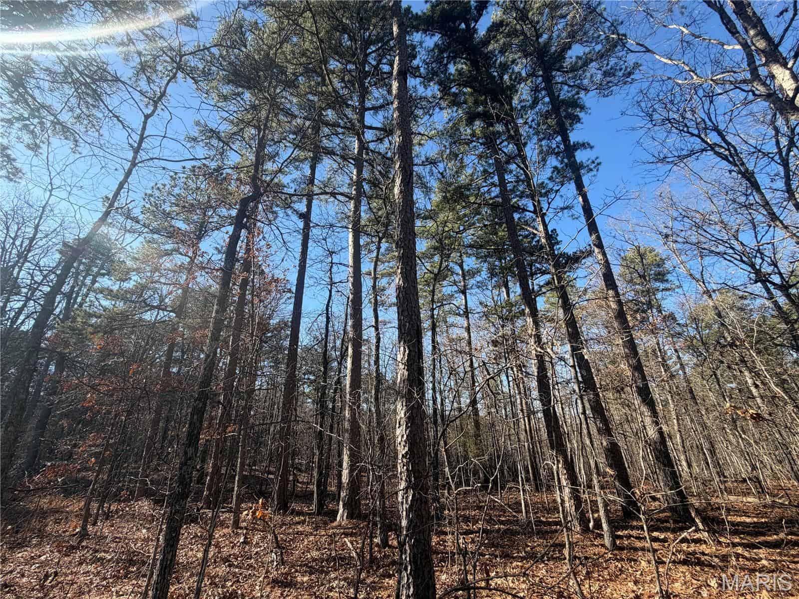 Land for Sale in Salem, Missouri – Parcel 1