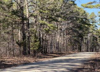 Land for Sale in Salem, Missouri – Parcel 2