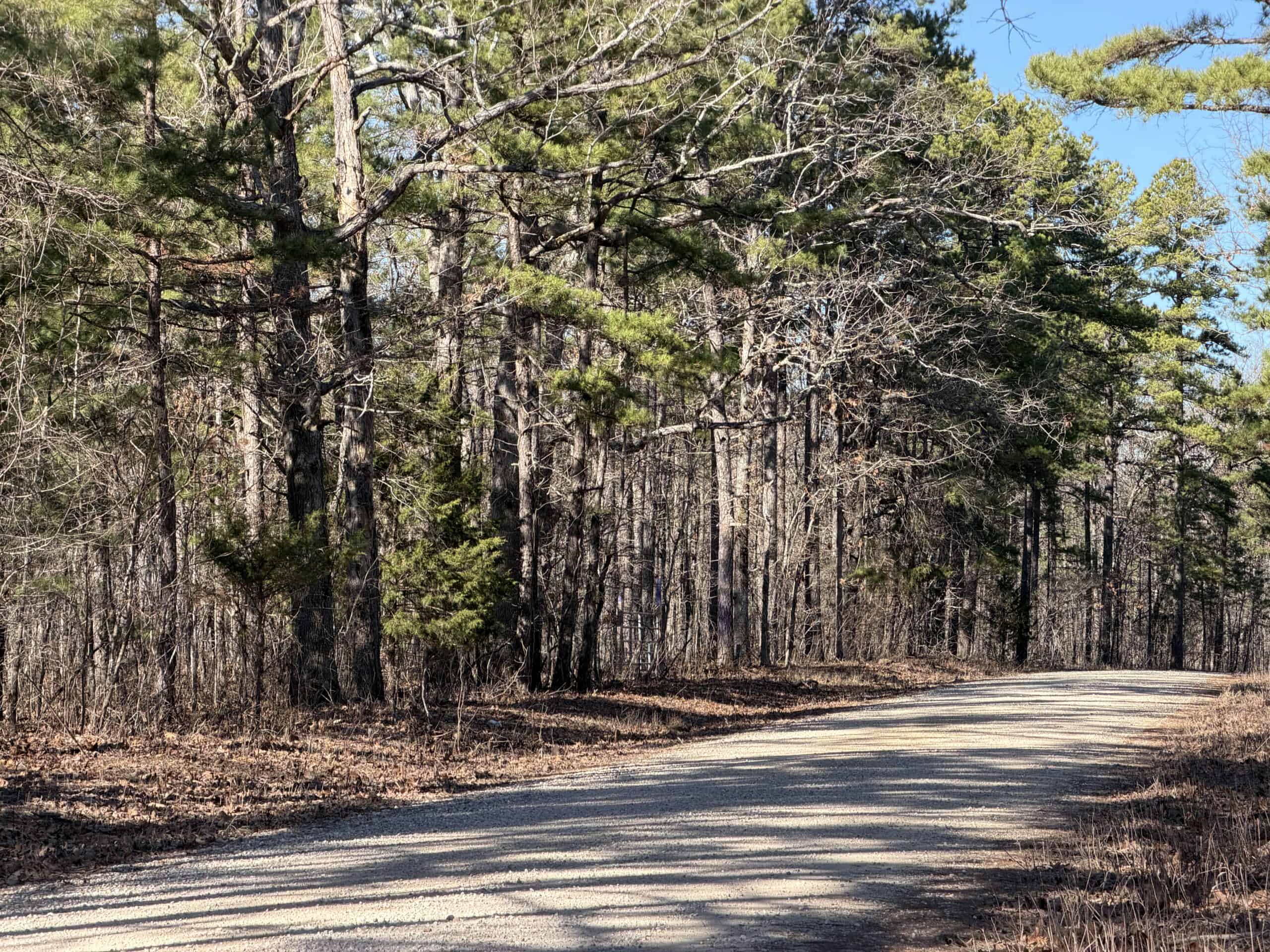 Land for Sale in Salem, Missouri – Parcel 2