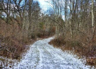 1565 Hwy 71 – Sparta, Wisconsin | 126.25± Acres | Monroe County