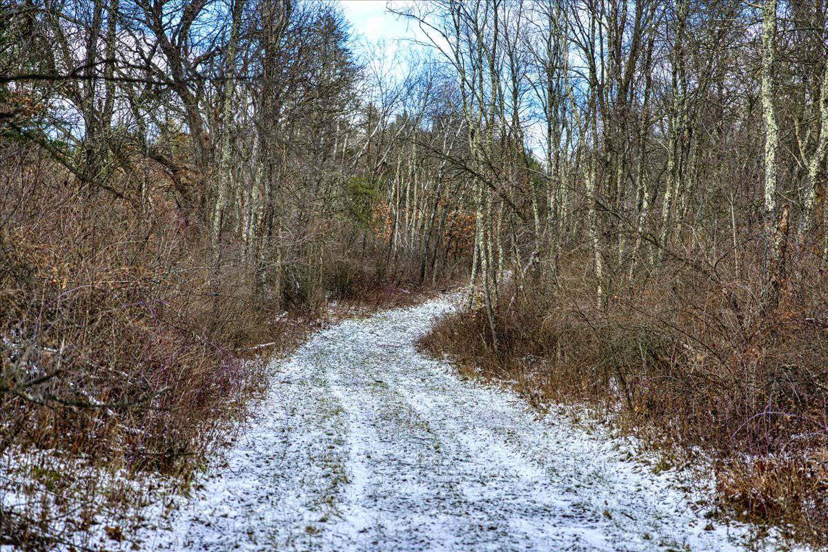 1565 Hwy 71 – Sparta, Wisconsin | 126.25± Acres | Monroe County