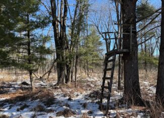 40-Acre Recreational Hunting Tract in Central Monroe County