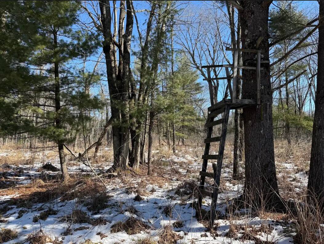 40-Acre Recreational Hunting Tract in Central Monroe County