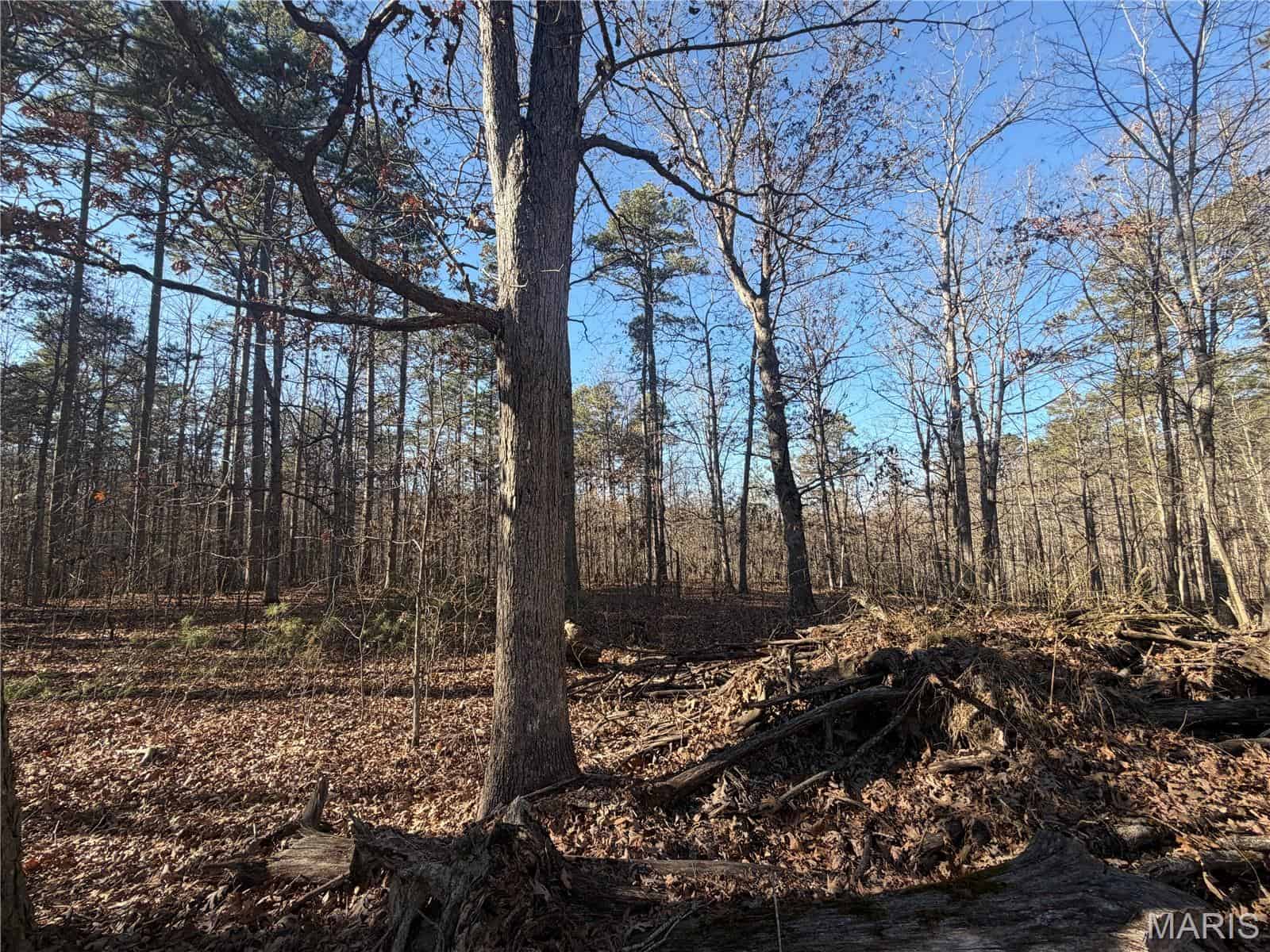 Land for Sale in Salem, Missouri – Parcel 1