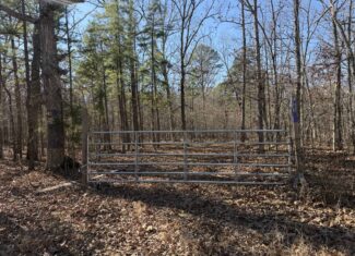 Land for Sale in Salem, Missouri – Parcel 2