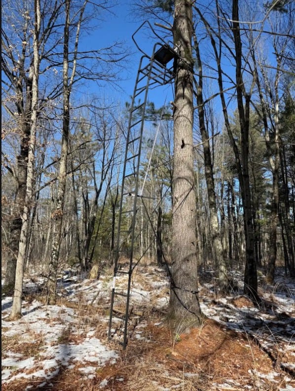 40-Acre Recreational Hunting Tract in Central Monroe County