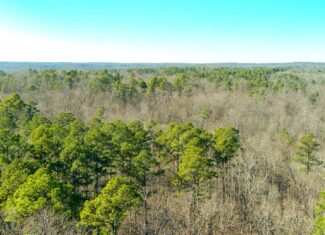 Land for Sale in Salem, Missouri – Parcel 1
