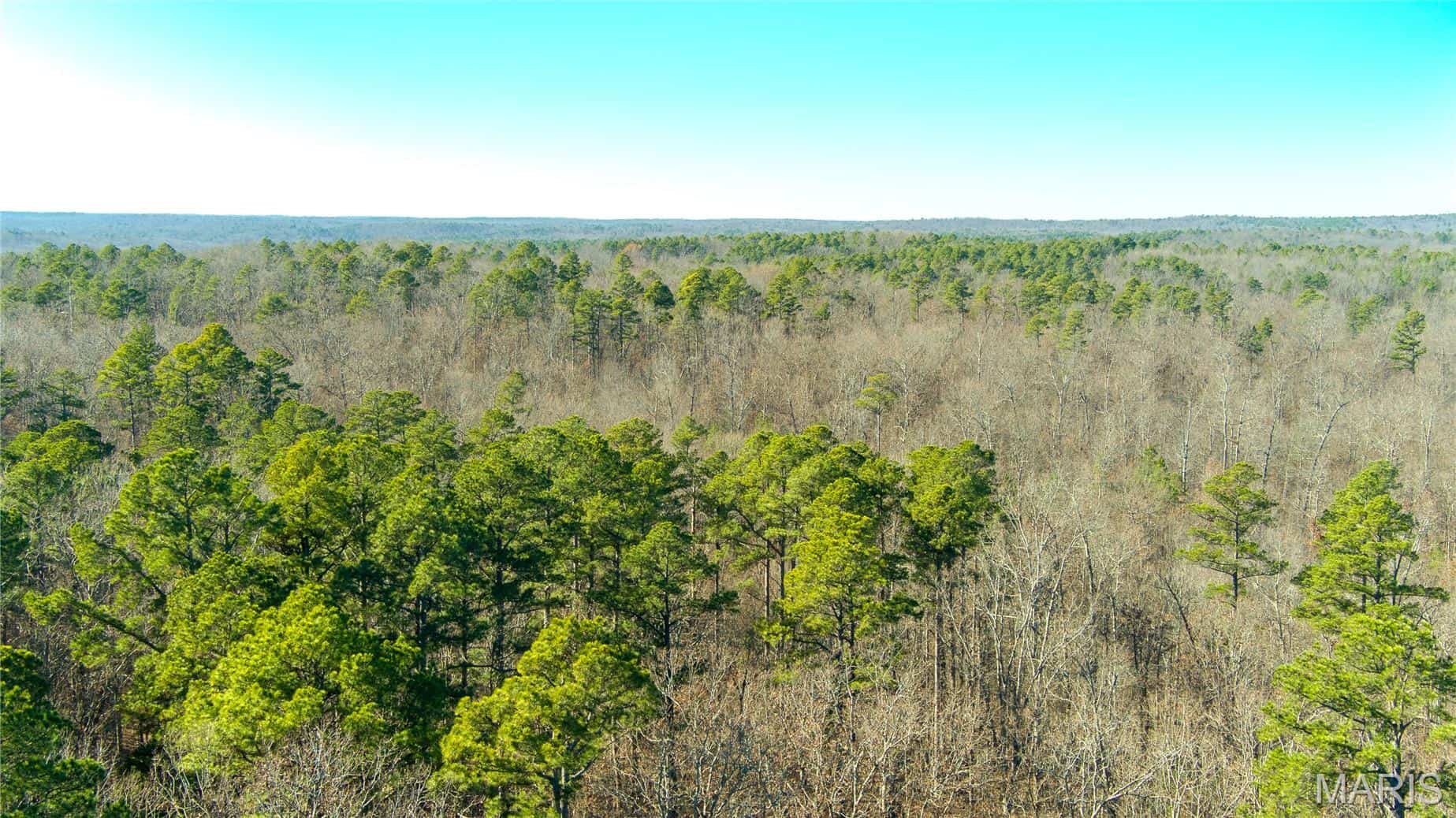 Land for Sale in Salem, Missouri – Parcel 1